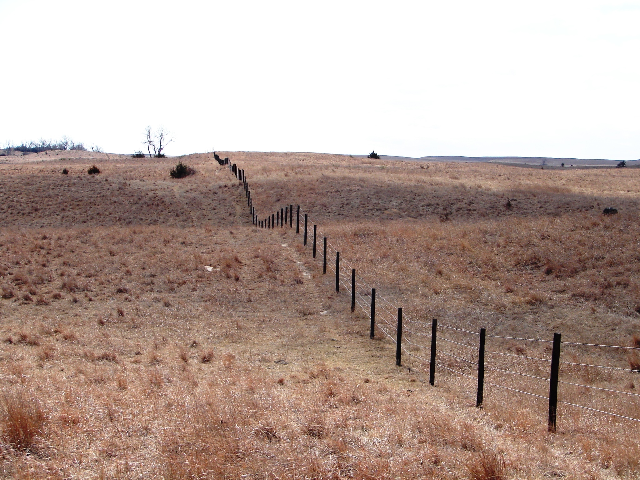 For Sale 469.5 acres Grass land Pasture Greeley, NE