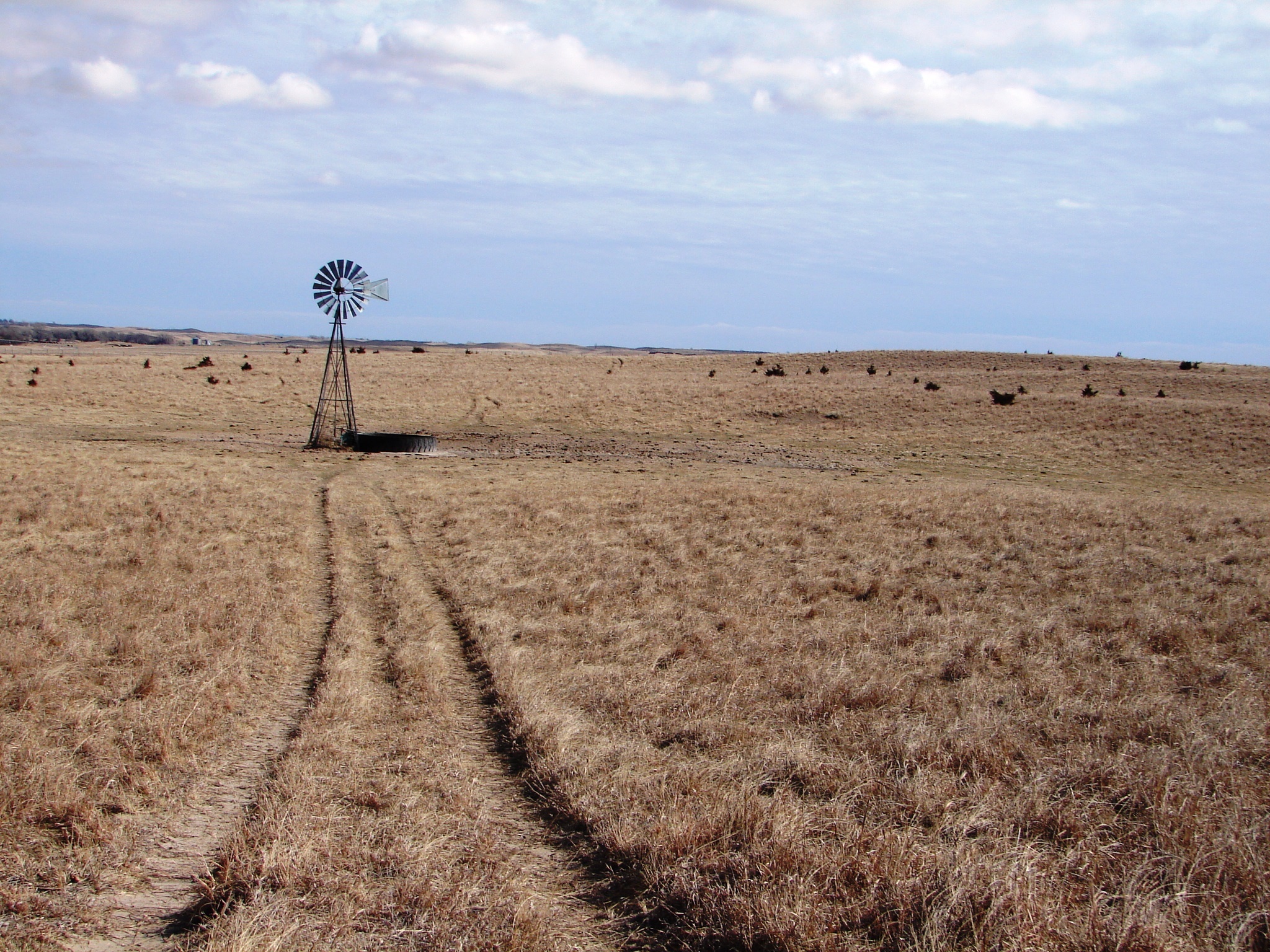 For Sale 469.5 acres Grass land Pasture Greeley, NE