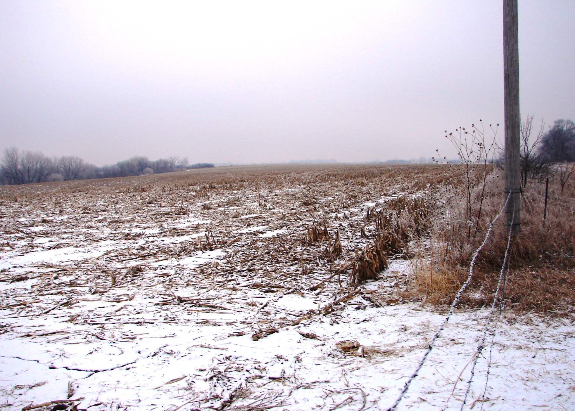 NEW TODAY! Nebraska Farm Land For Sale! 307 Acres Dryland & Grass!