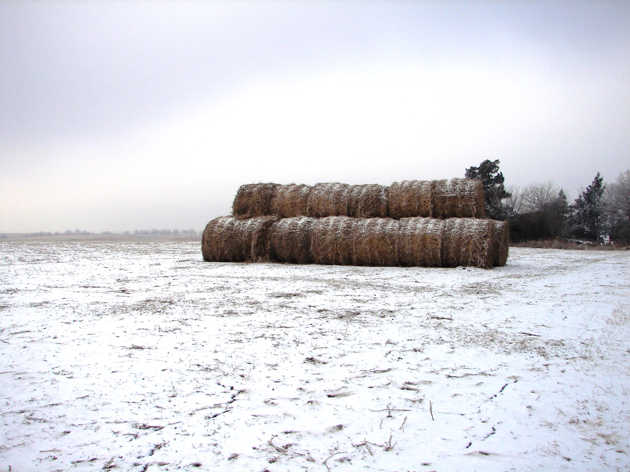 NEW TODAY! Nebraska Farm Land For Sale! 307 Acres Dryland & Grass!