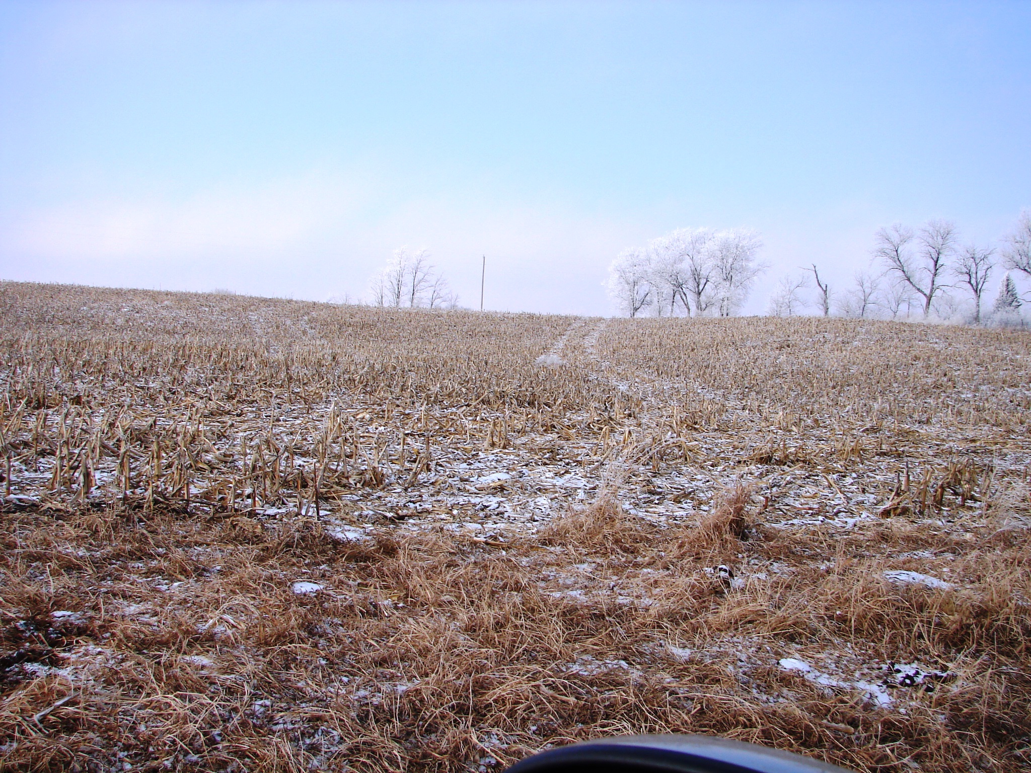 NEW TODAY! Nebraska Farm Land For Sale! 307 Acres Dryland & Grass!