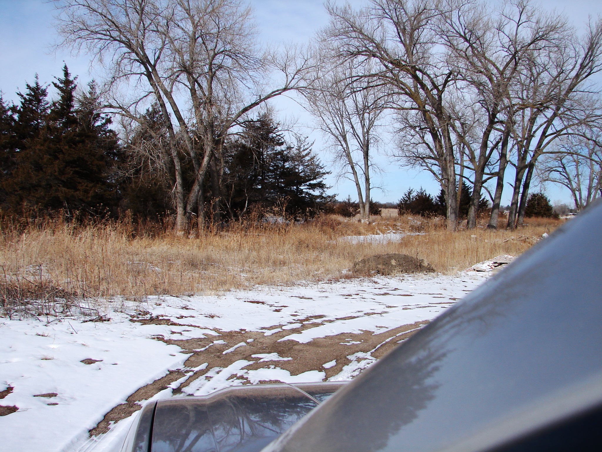 FOR SALE 54 Acres with Loup River Frontage Sargent,