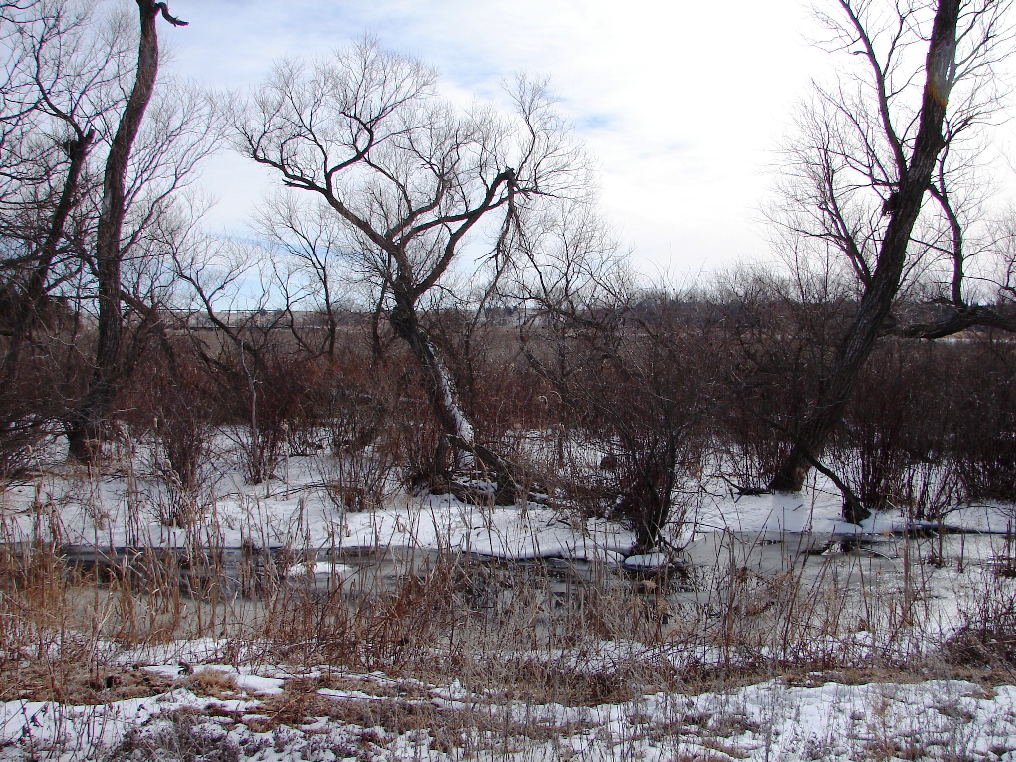 FOR SALE 54 Acres with Loup River Frontage Sargent,