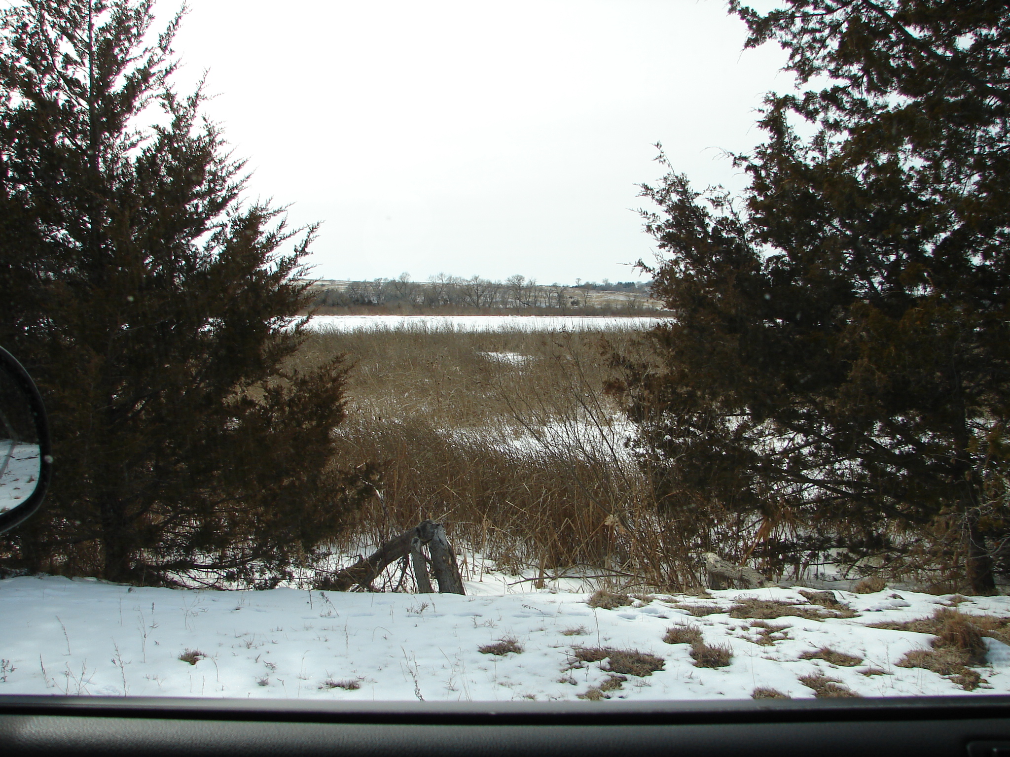 FOR SALE 54 Acres with Loup River Frontage Sargent,