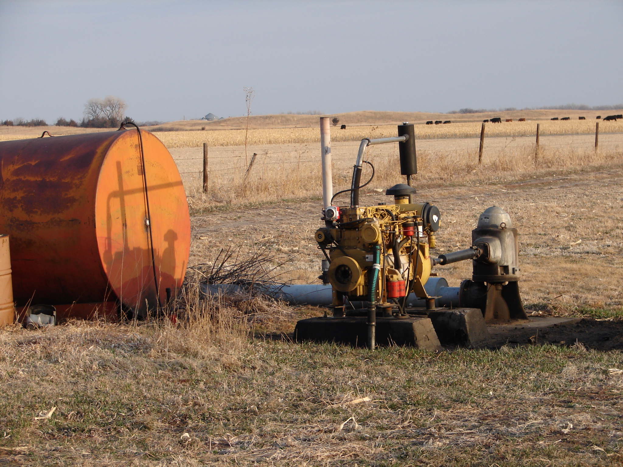 Investors 165 Acre Irrigated Nebraska Farm For Sale!