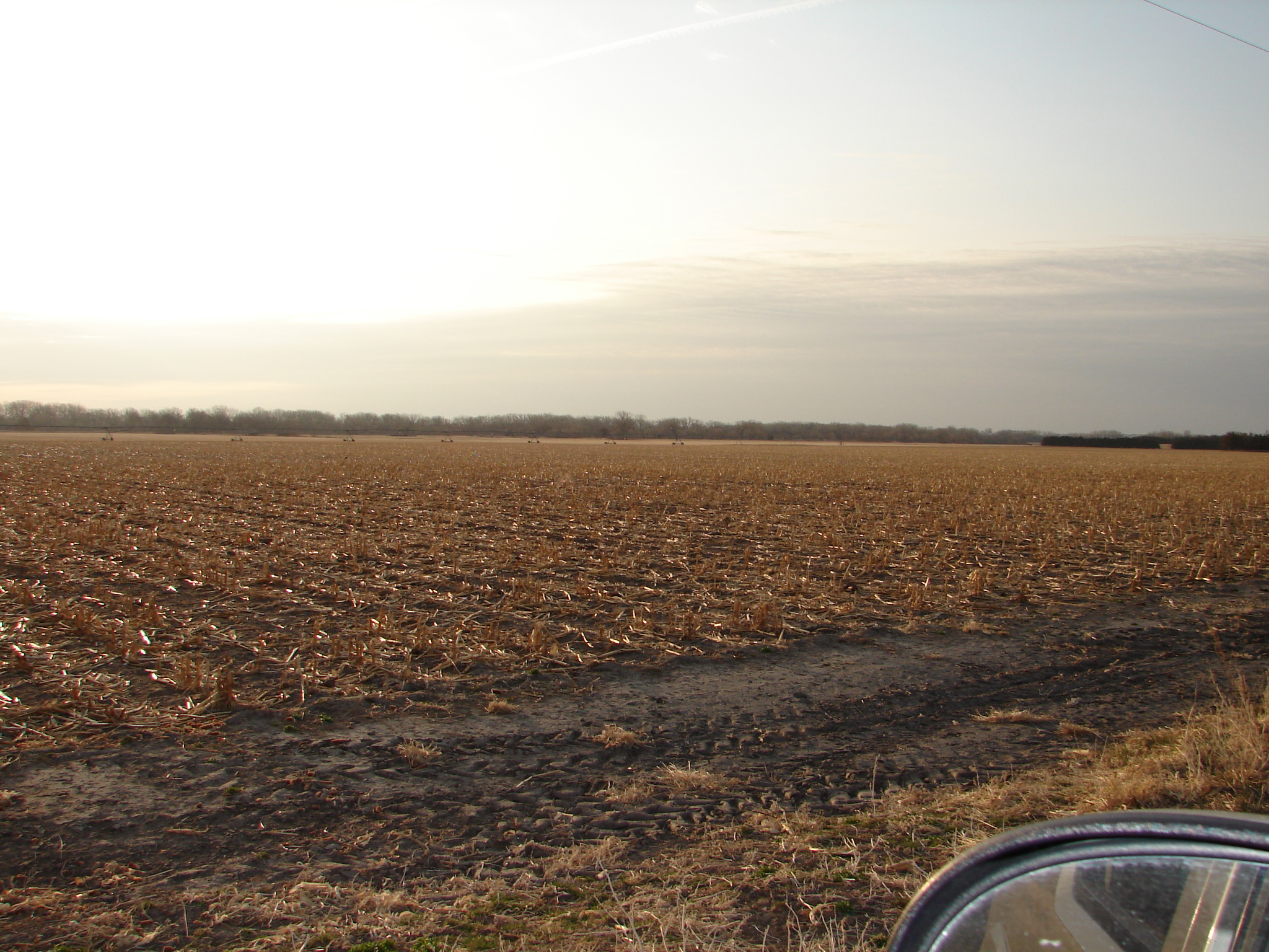 Investors 165 Acre Irrigated Nebraska Farm For Sale!