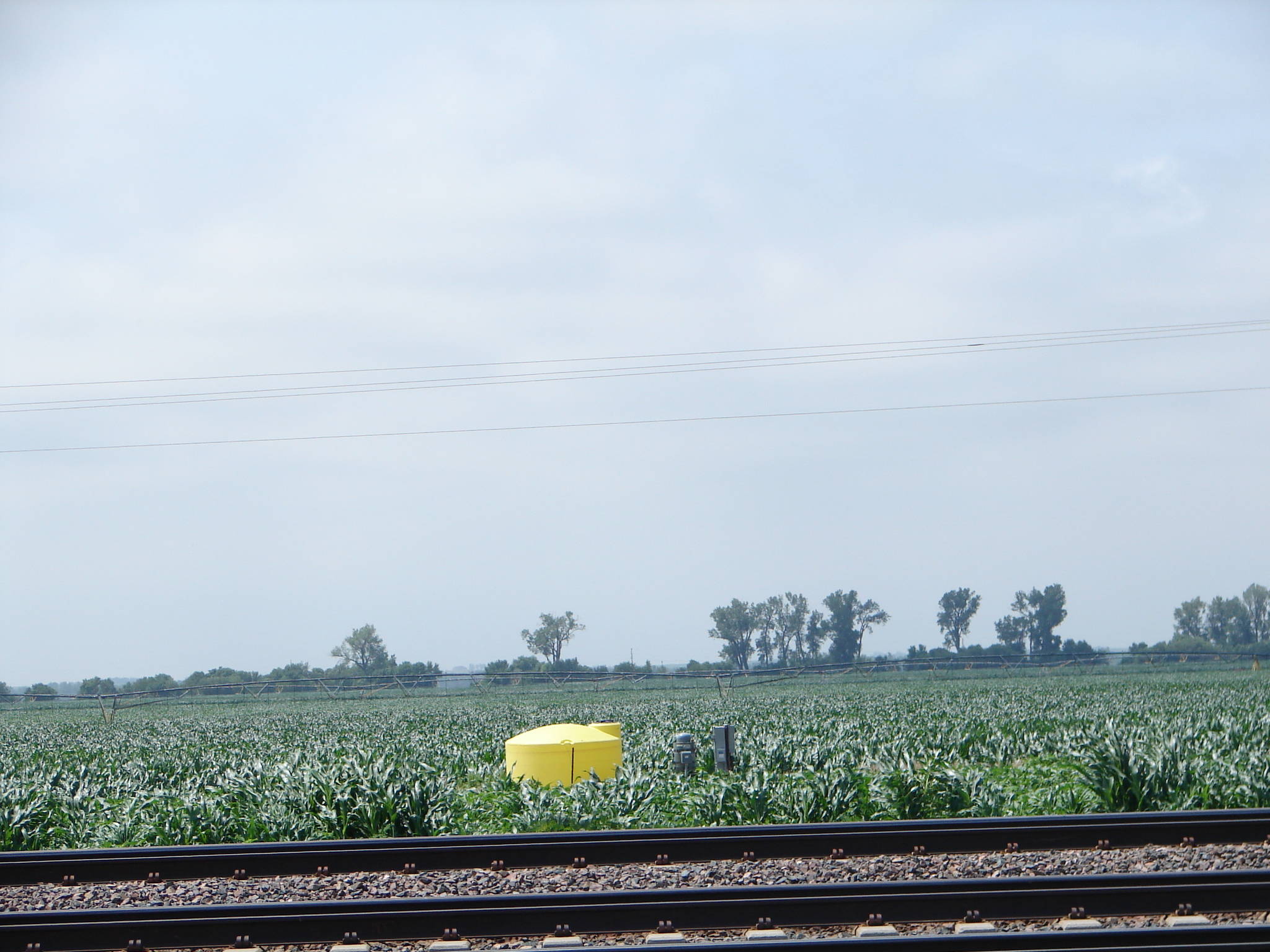 282ac Dawson Cty, Nebraska Irrigated Farm Land For Sale