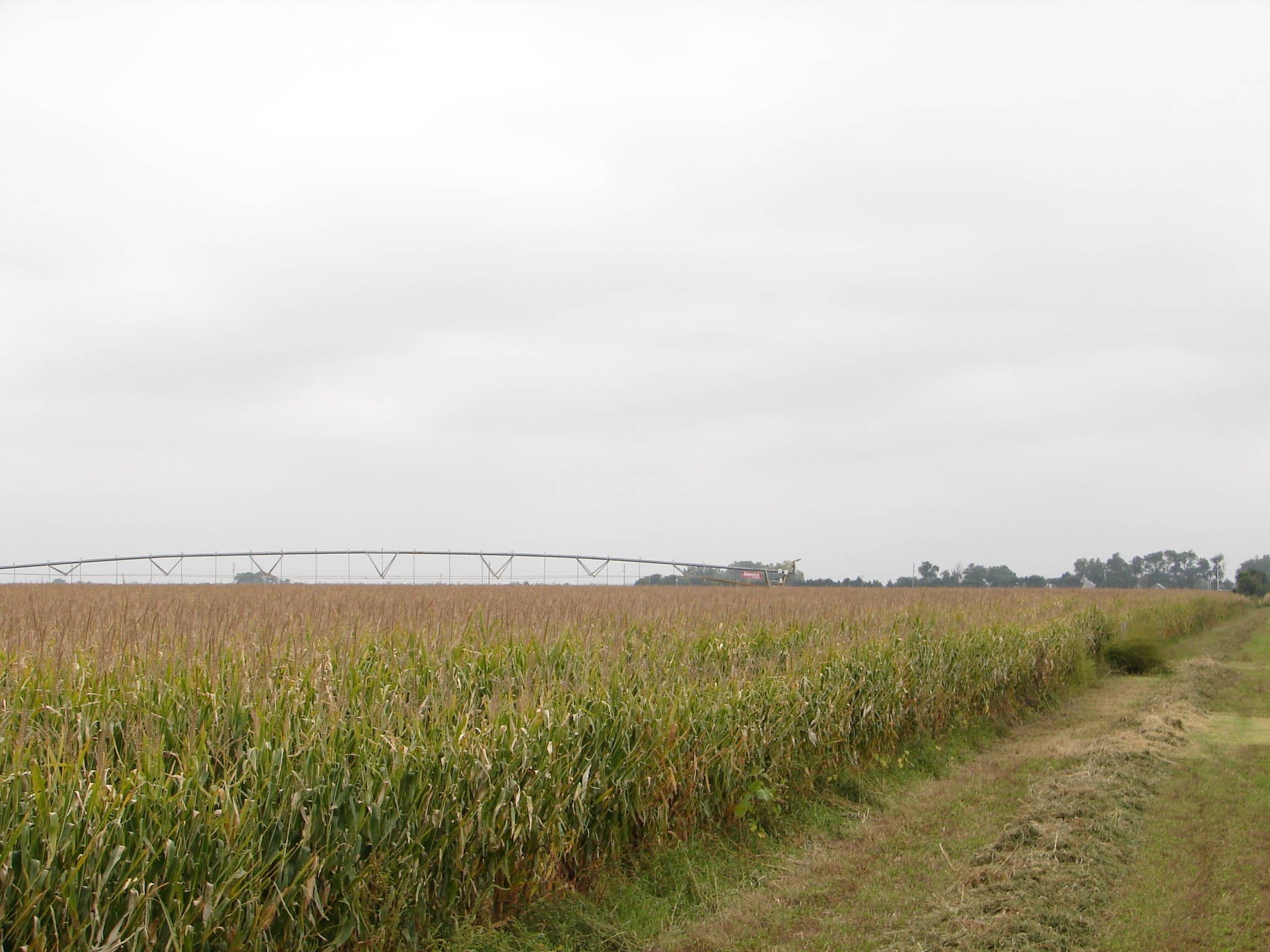 Dawson County, Nebraska Pivot Irrigated Farm For Sale!