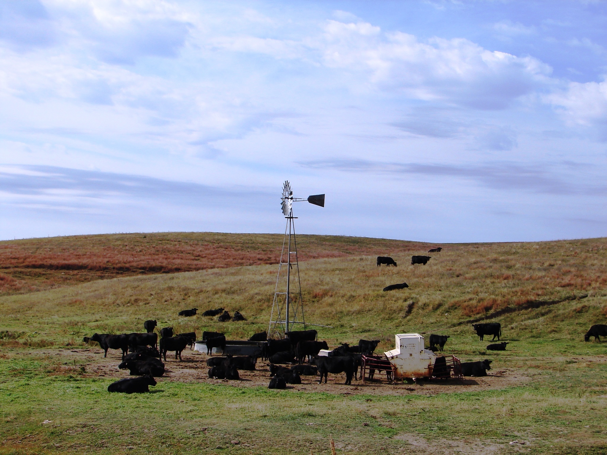 Want To Buy Half Section of Grass South of Palmer, Neb
