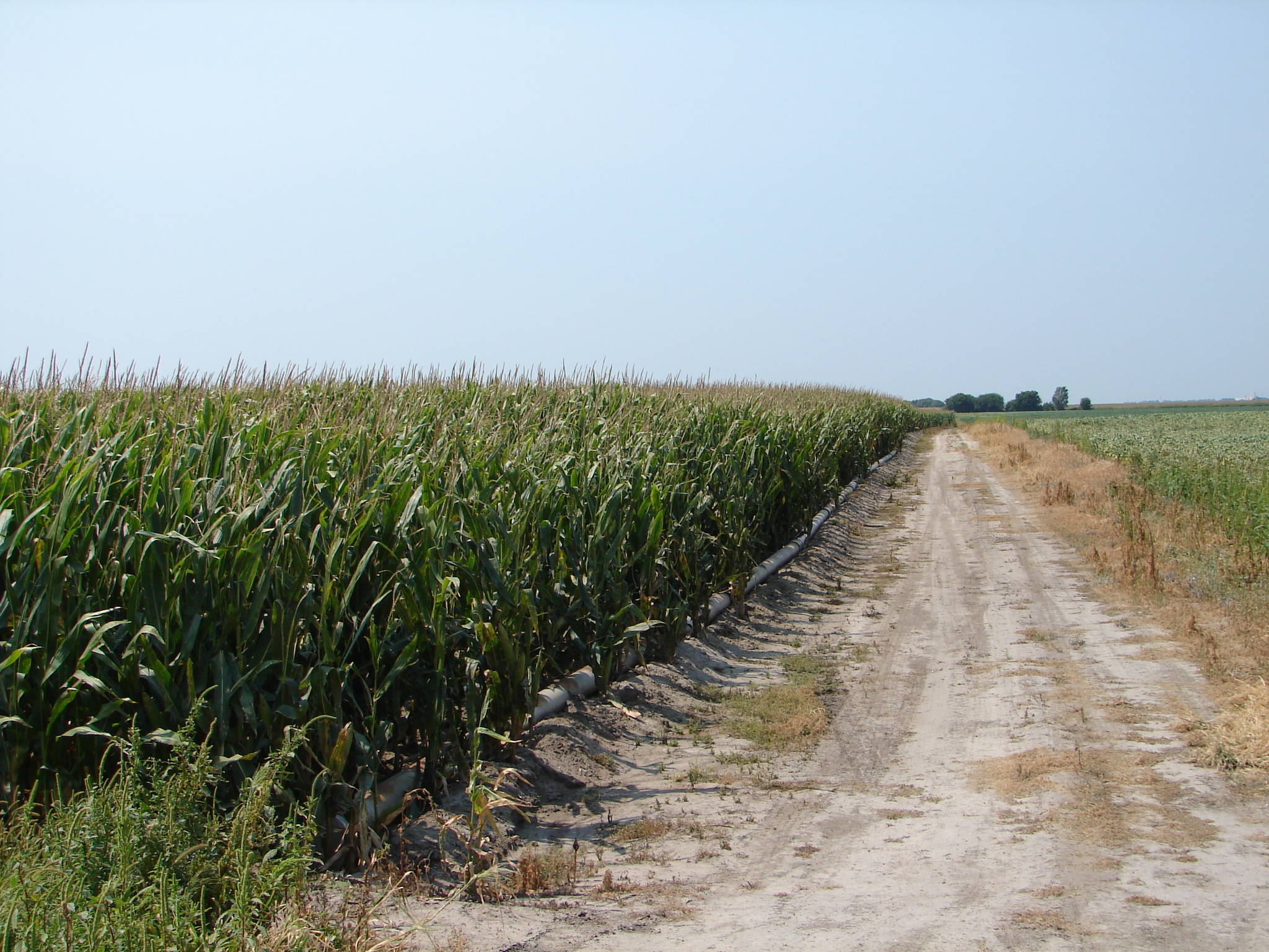 Kearney County Nebraska Pivot Irrigated Farm FOR SALE!