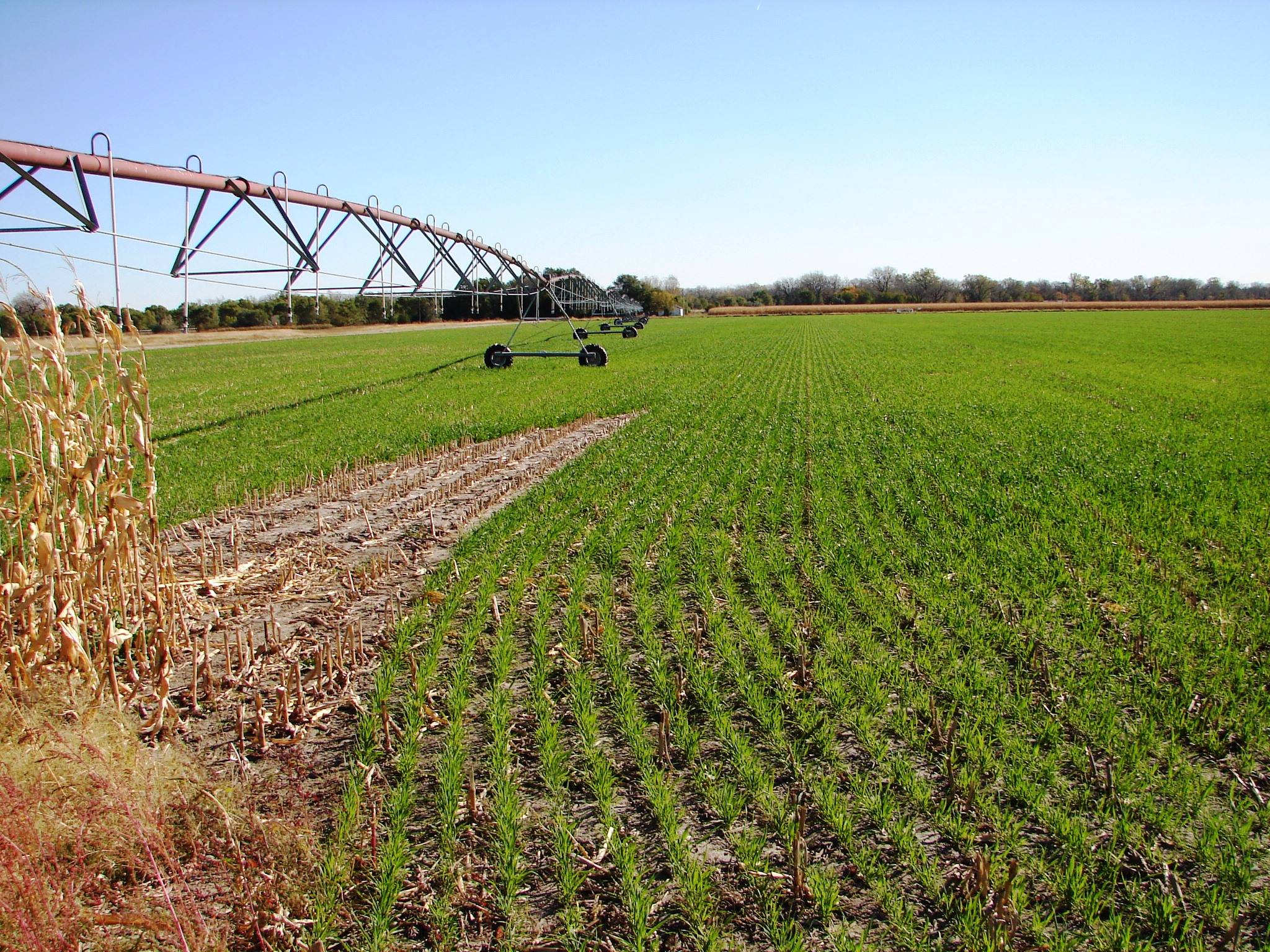 New Dawson County Nebraska Irrigated Farm For Sale