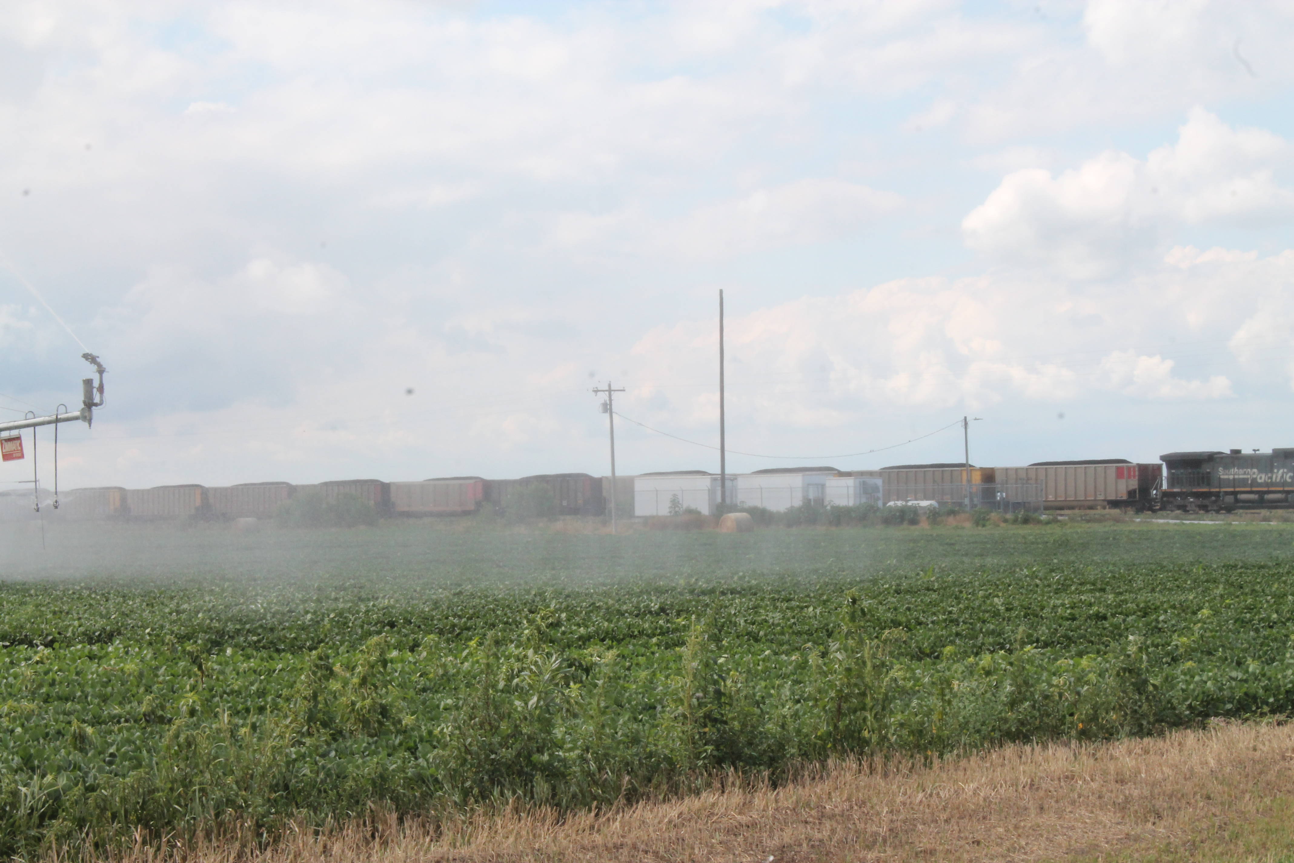 Dawson County, Nebraska Pivot Irrigated Farm For Sale!