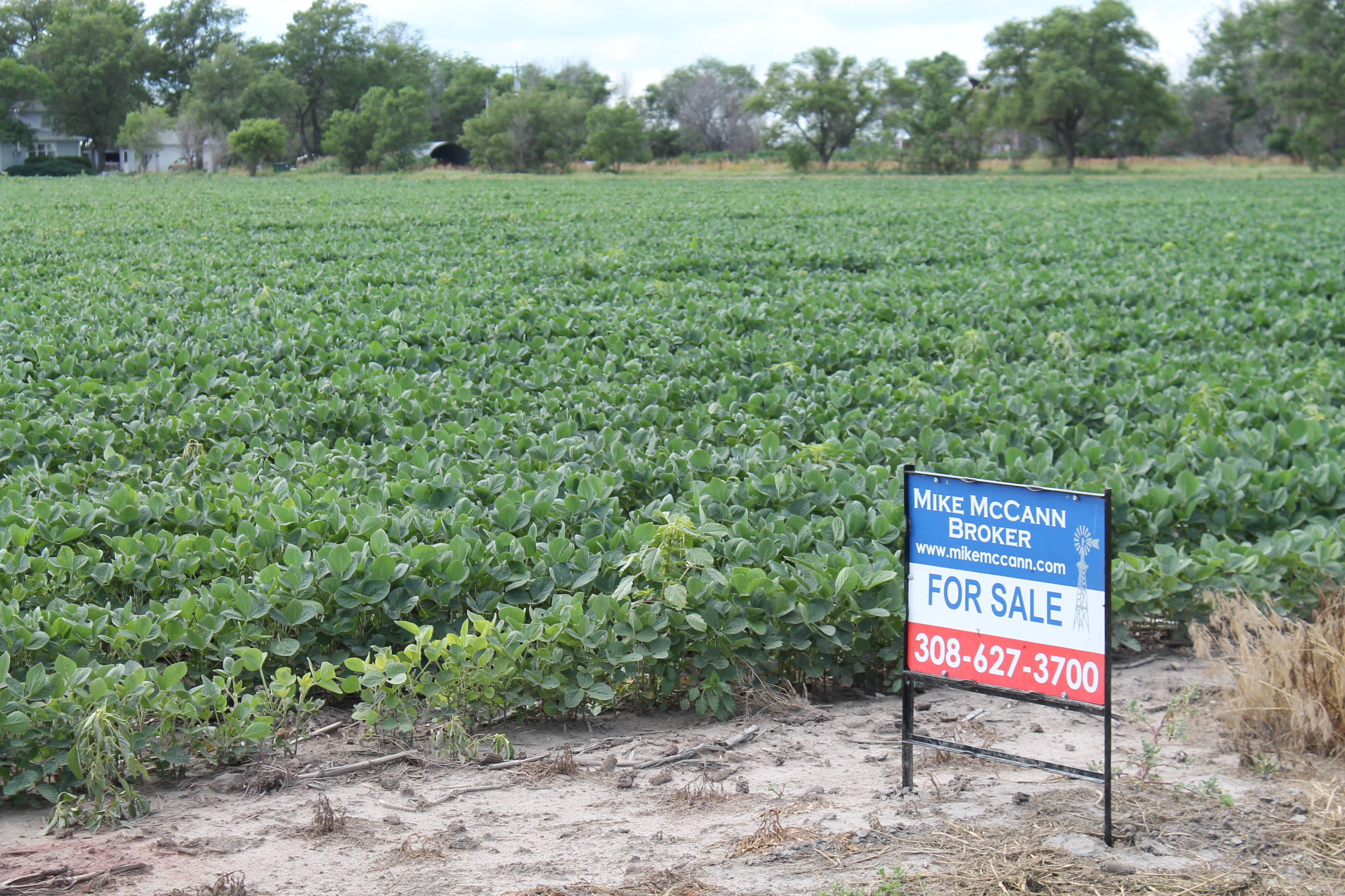 Dawson County, Nebraska Pivot Irrigated Farm For Sale!