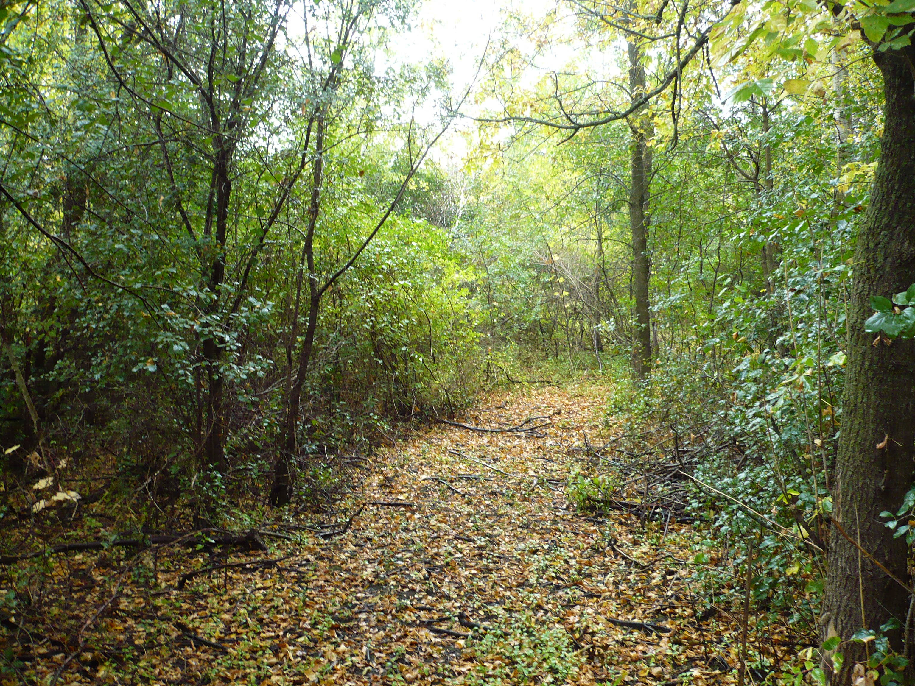 24 buildable waterfront acres for sale Richmond MN