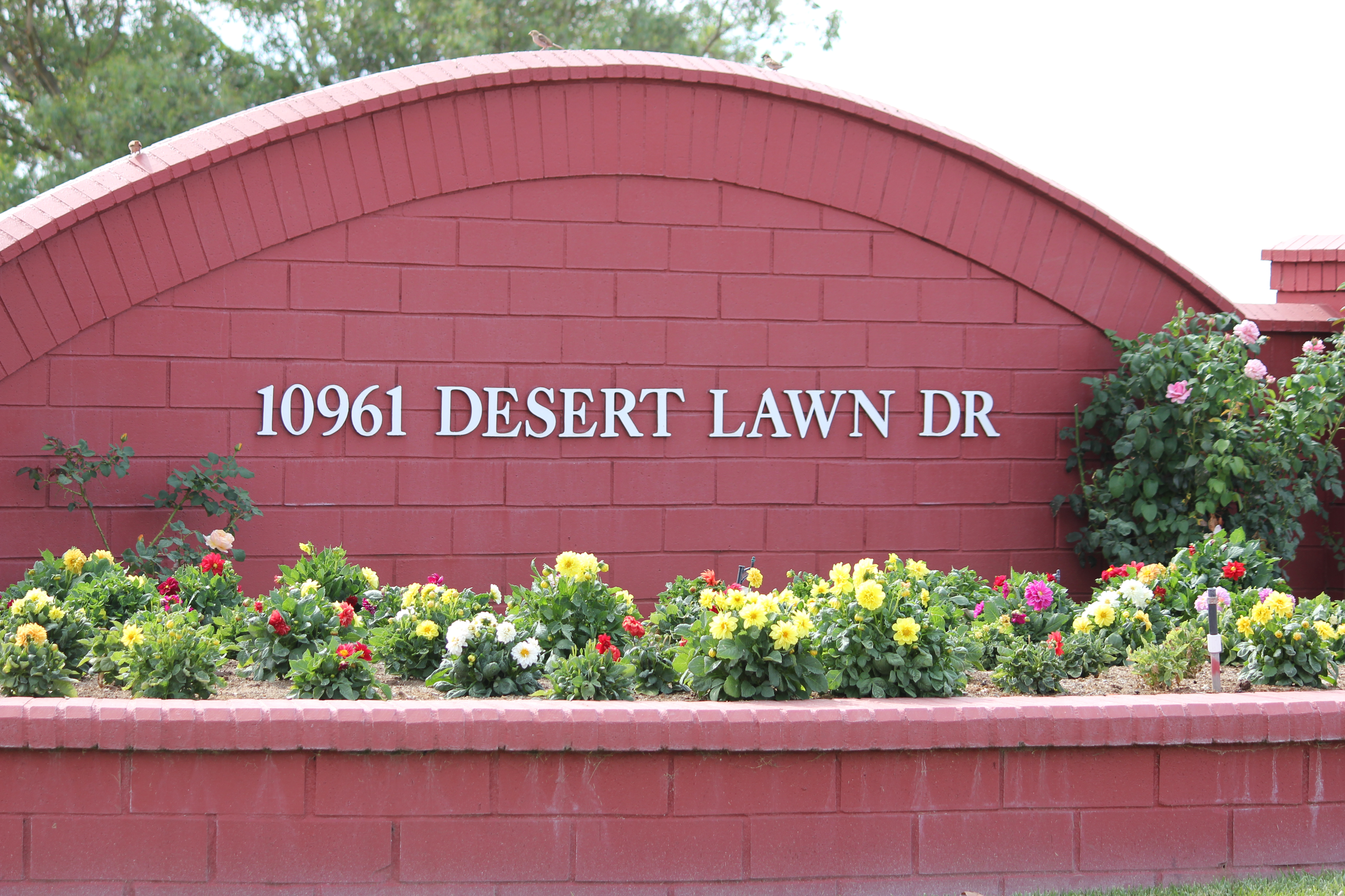 Calimesa Birdwatchers Visit Plantation on the Lake in Calimesa