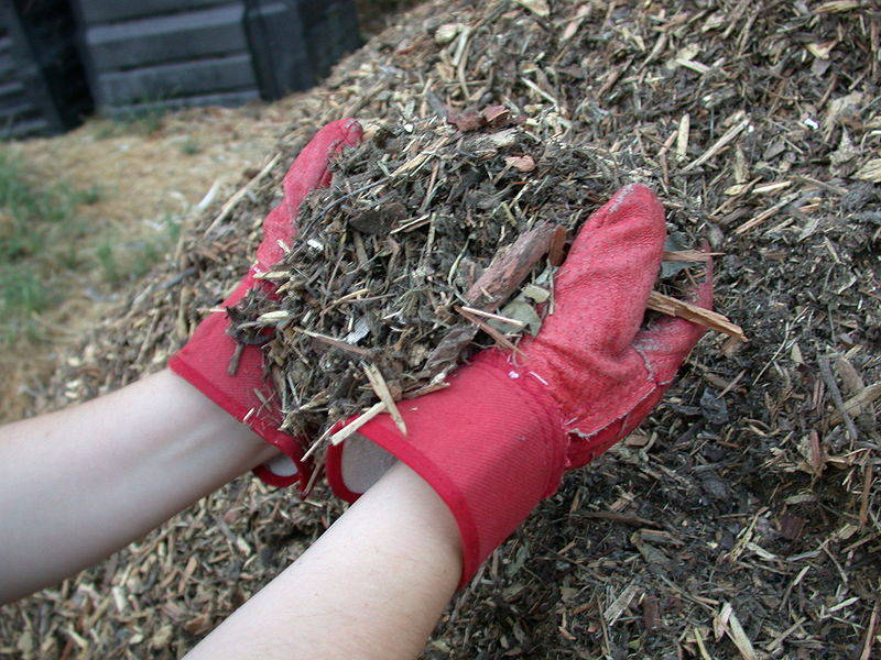 Fresh Mulch Can Make a Difference When Selling a Home