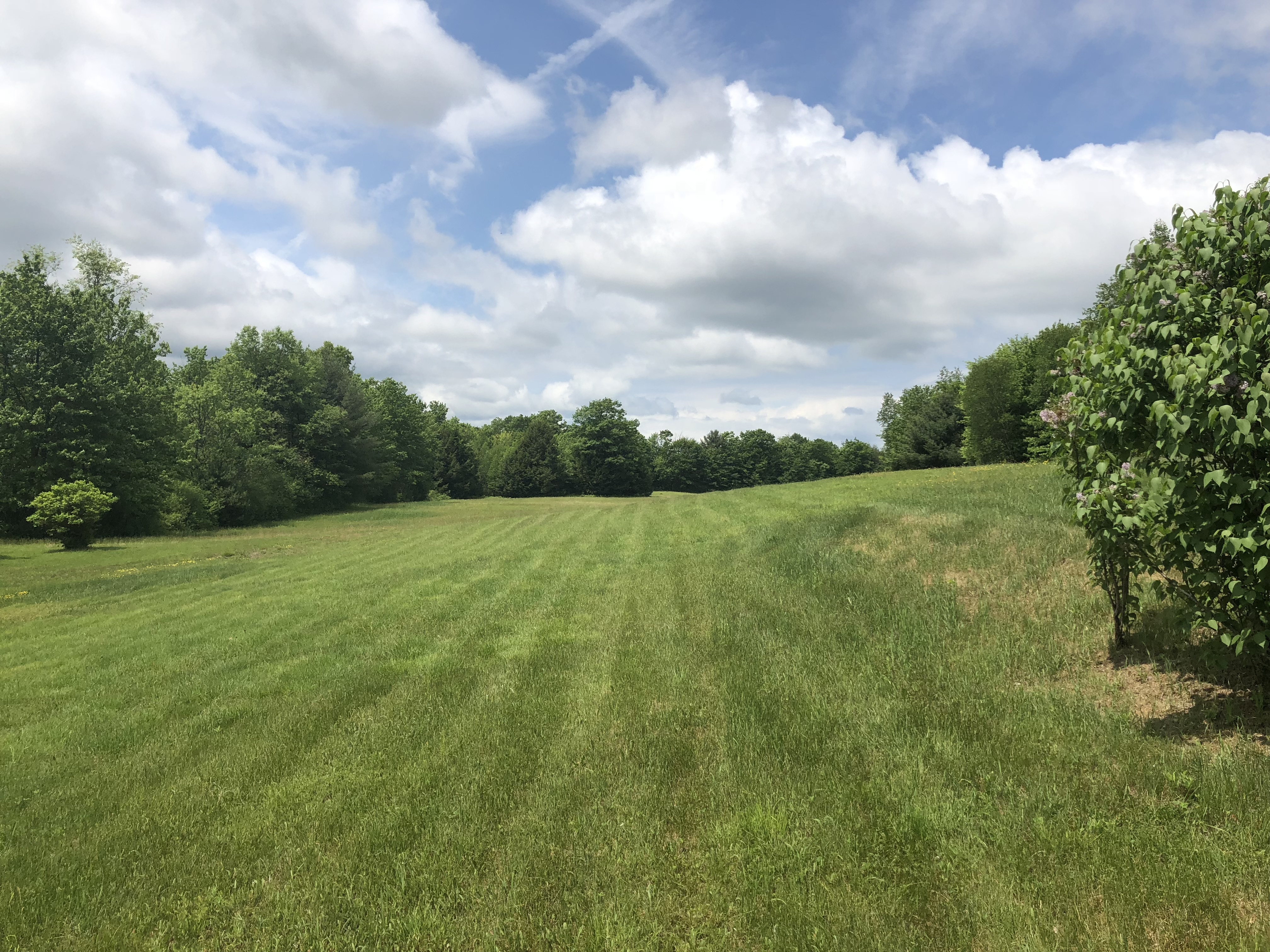 IMPROVED PRICE! 131 Potter Hollow Rd, Galway, NY 12074