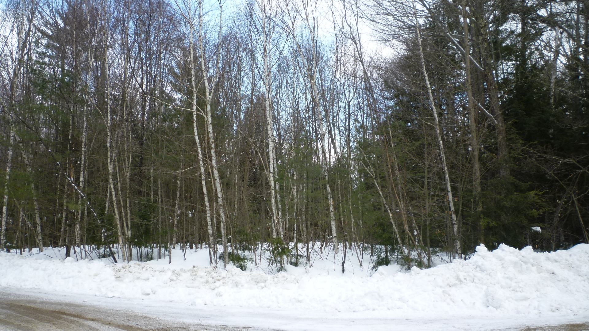 NEW Listing Highland Links Colony Golf Course, Holderness, NH 03245