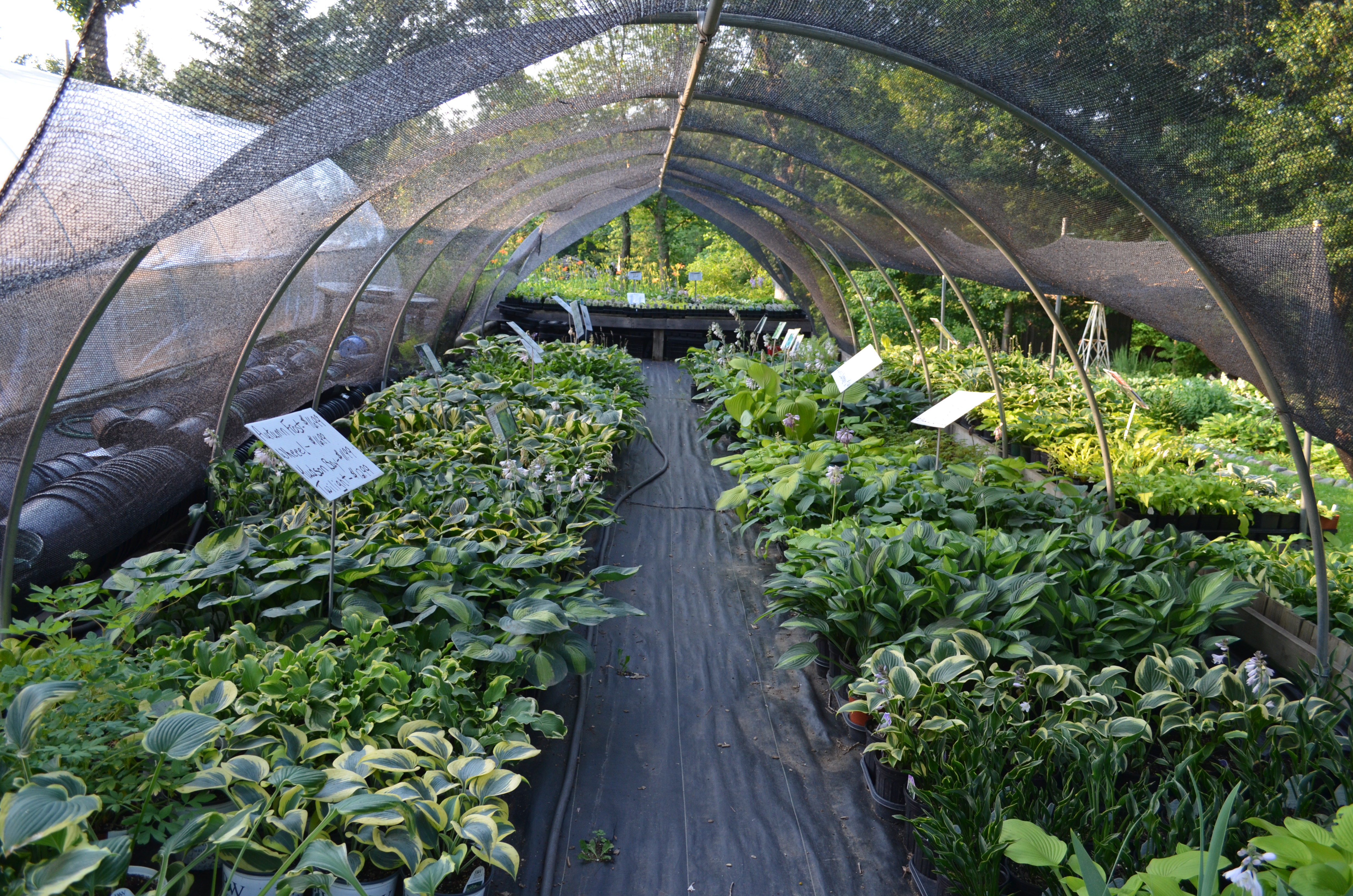 A North Branch, Minnesota Garden Center