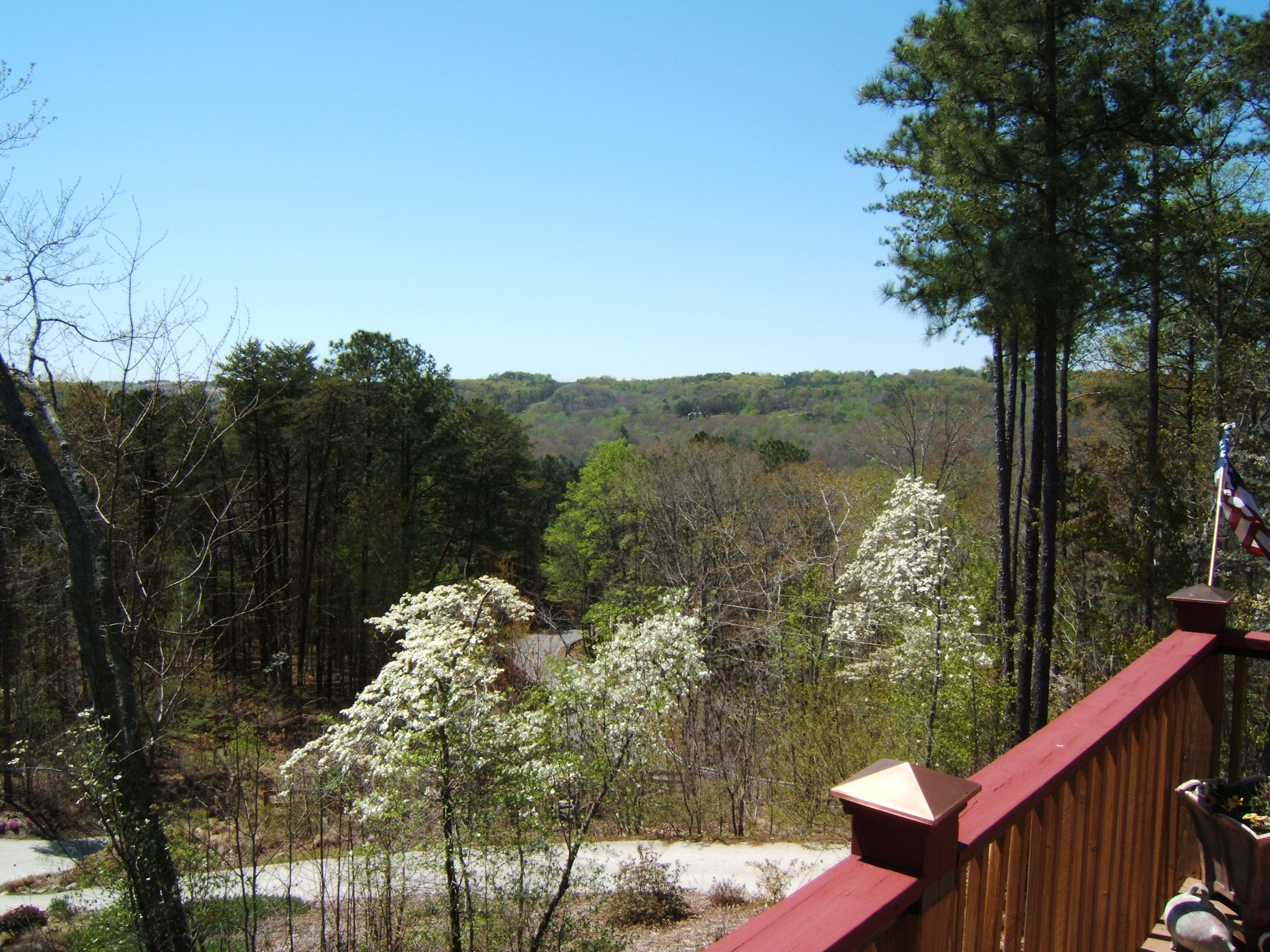 1810 Reavis Mountain Road Ball Ground Home for Sale