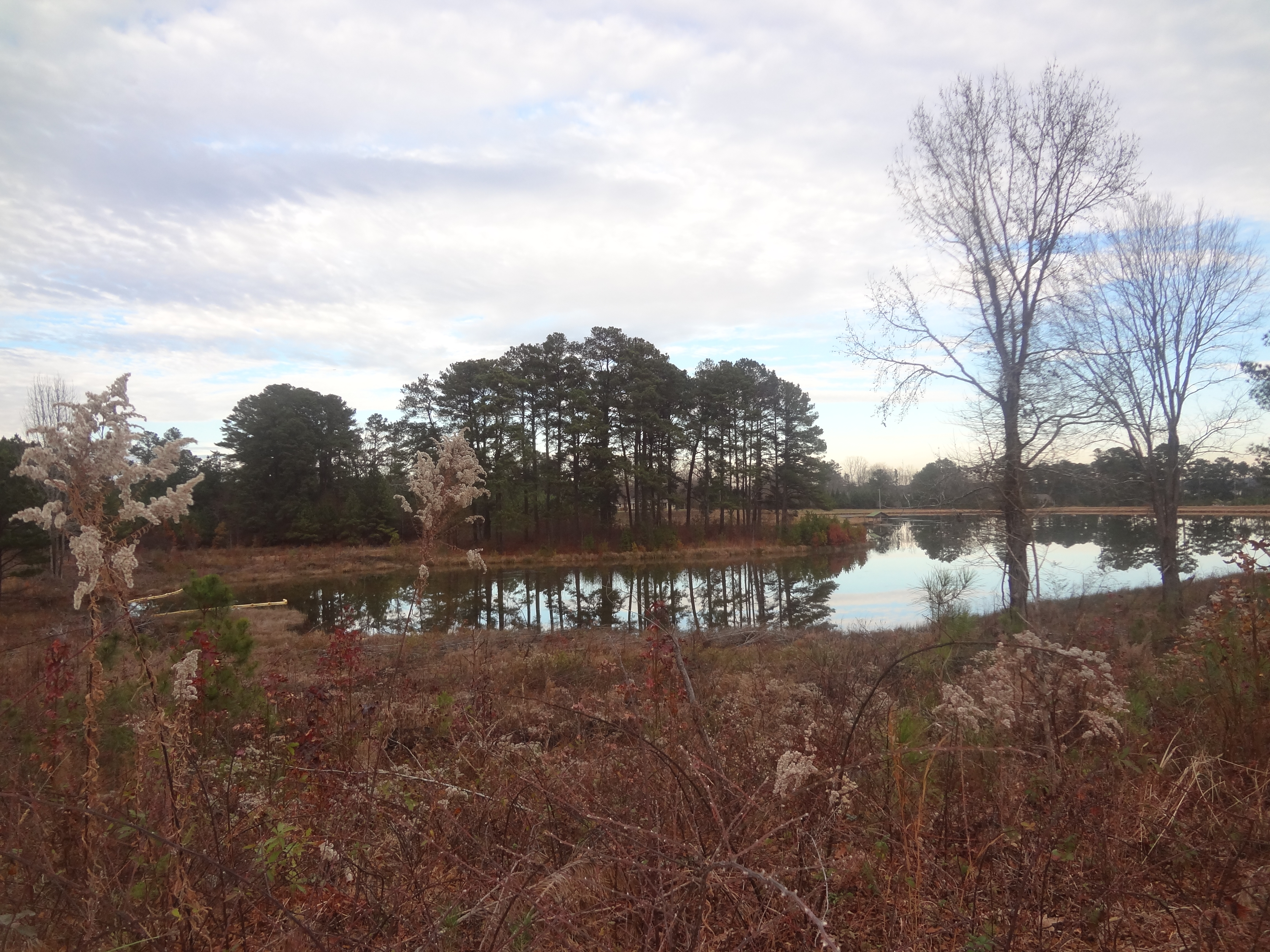 Giverny at Le Jardin Market Report (South Fulton Atlanta) GA