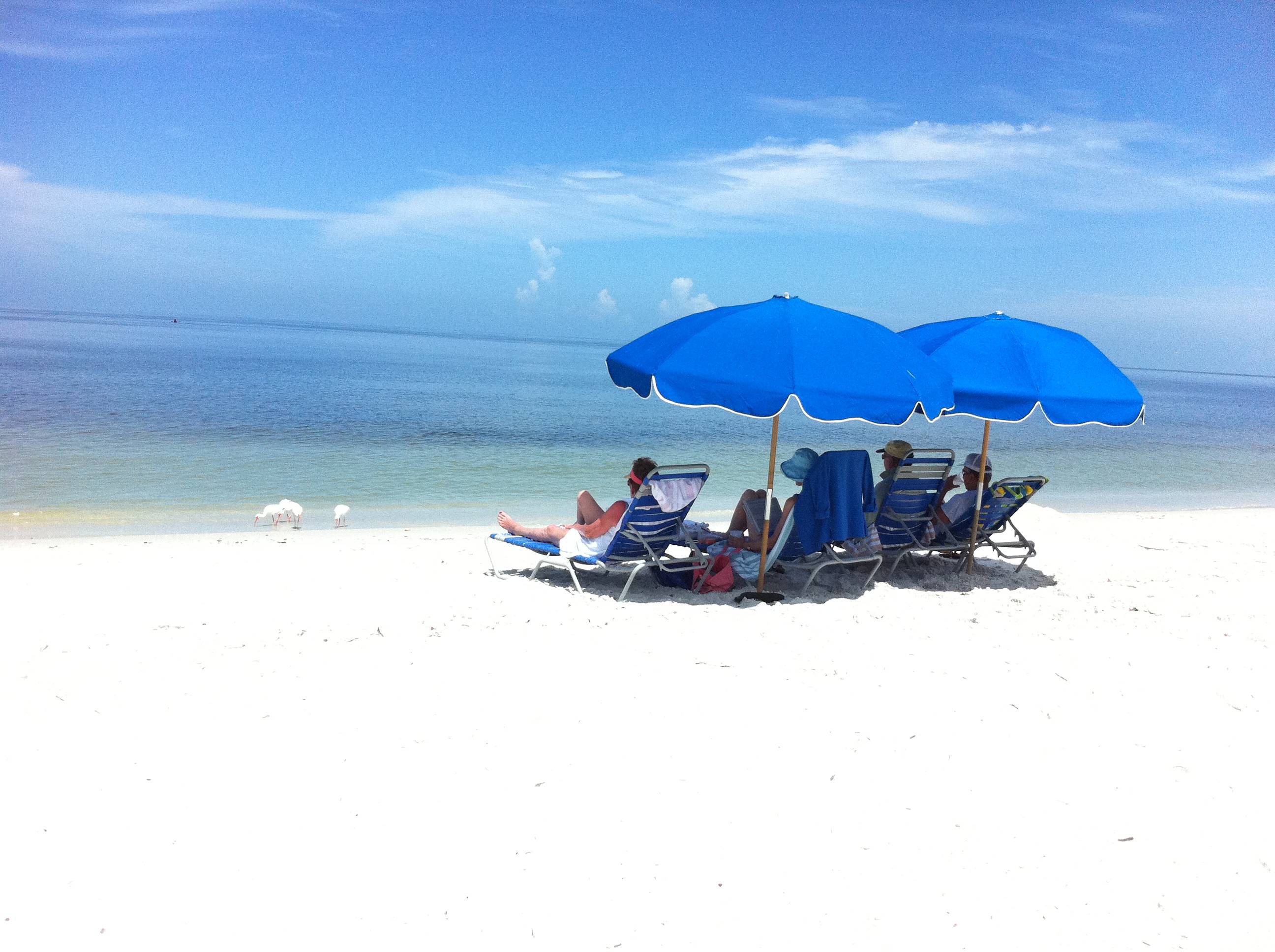 Pelican Bay Beach at 80 degrees in November?