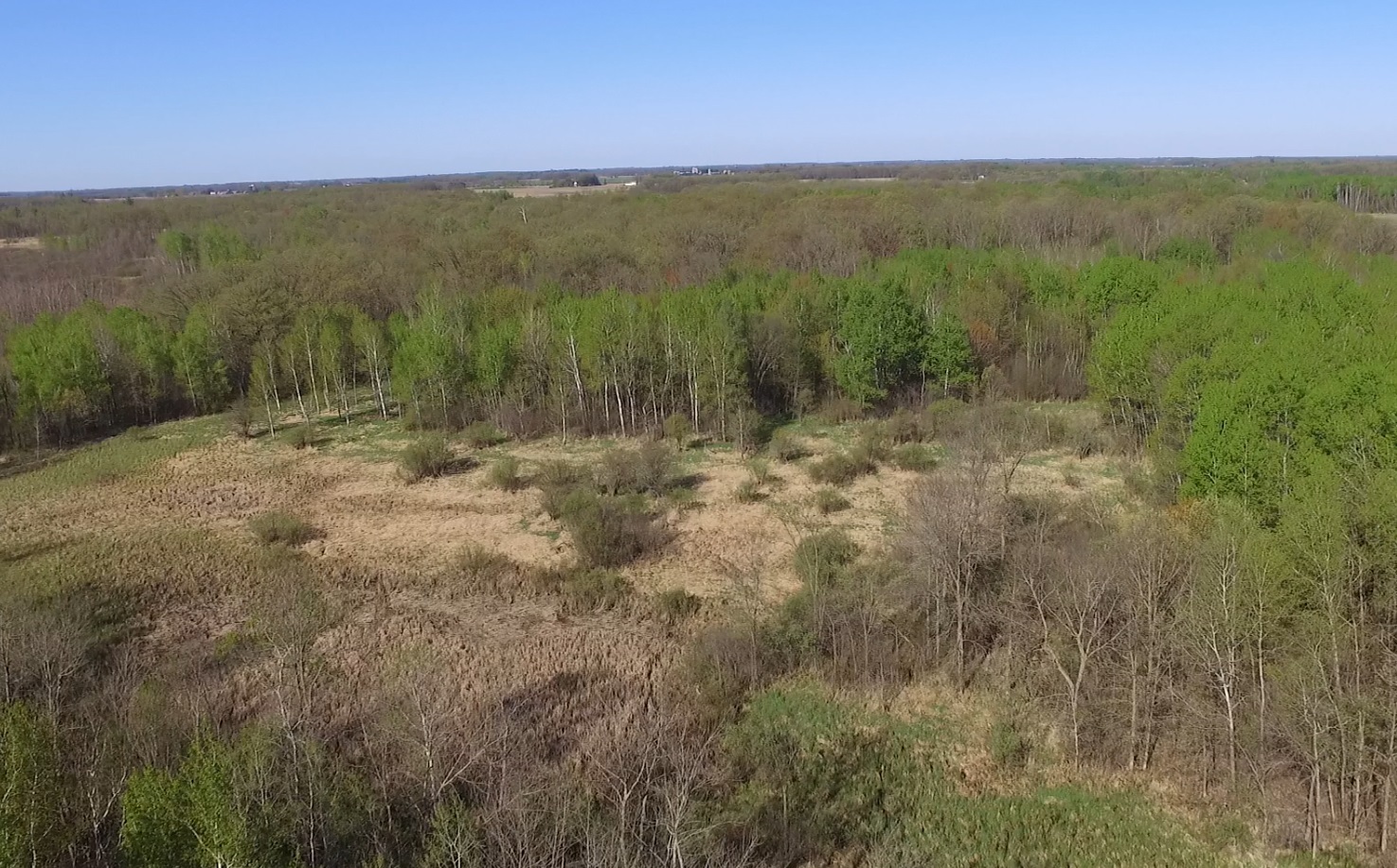 Re/Max Results 77 Acres of Land in Braham MN