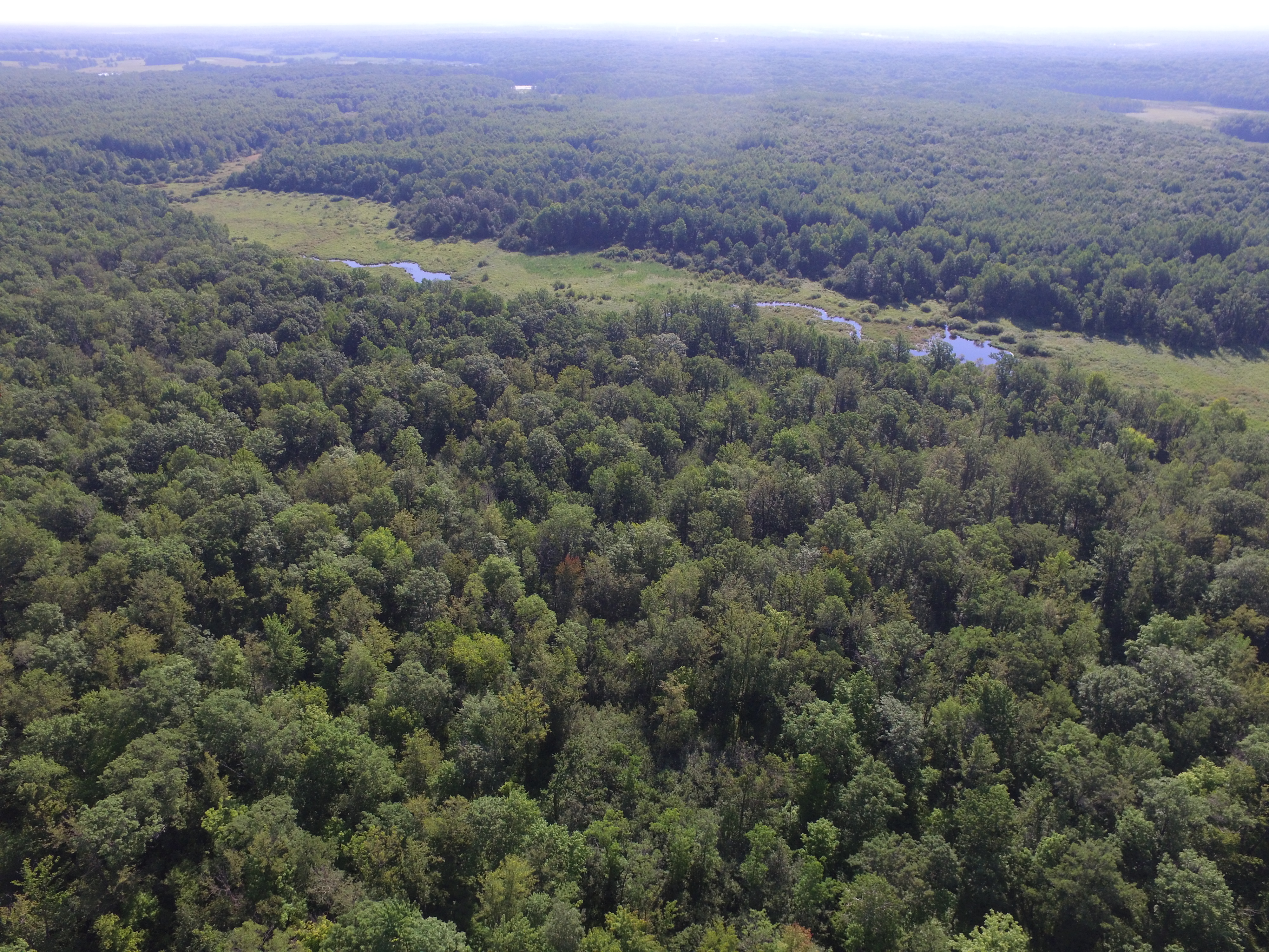 Re/Max Results Contract For Deed 70 Acres Mora