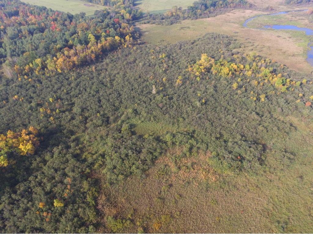 Re/Max Results Acreage For Sale in MN