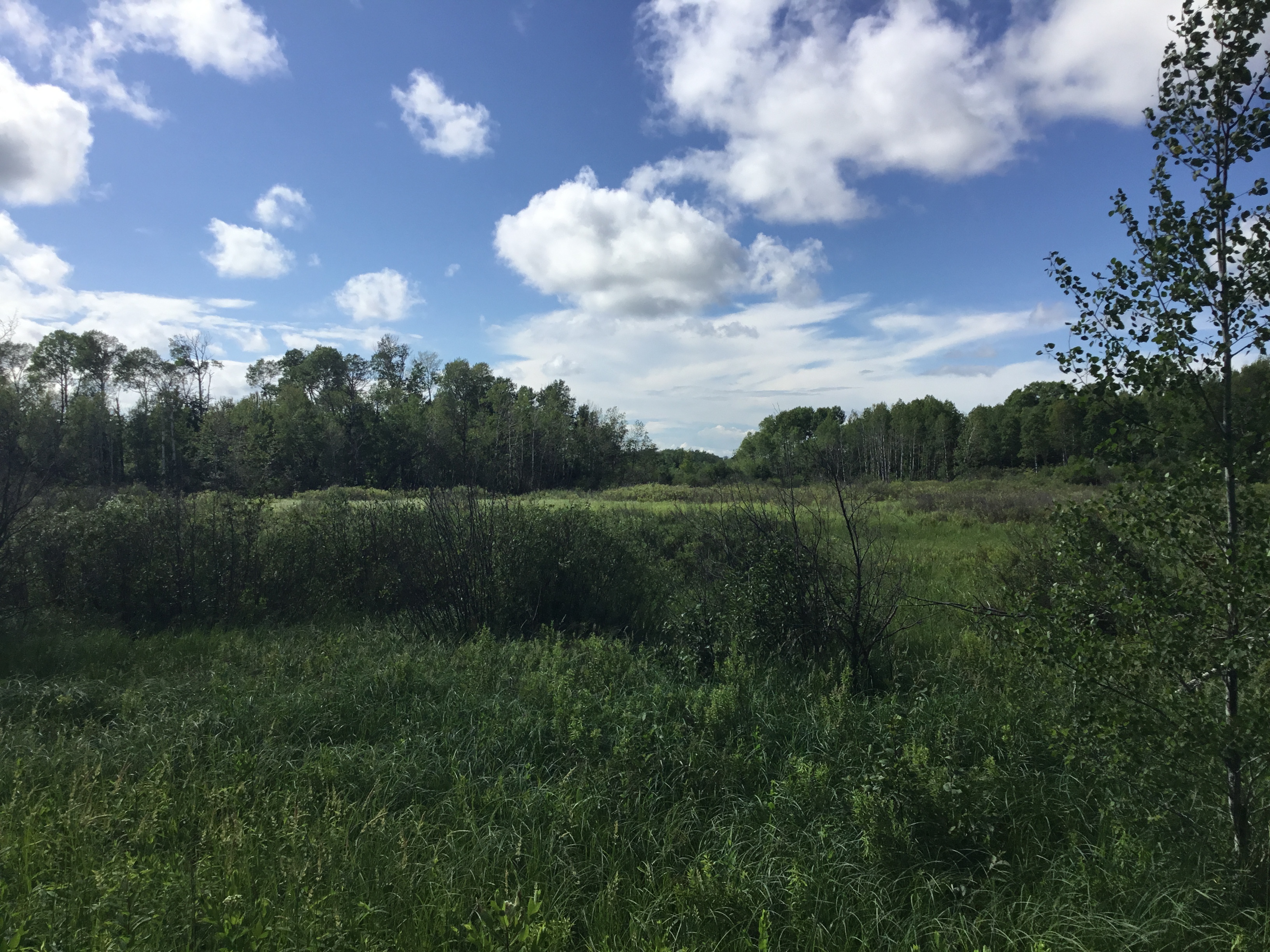 Re/Max Results 22+ Acres in Brook Park