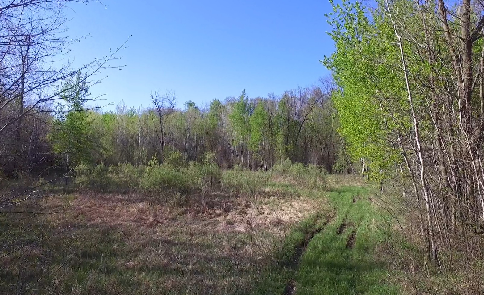 Re/Max Results 77 Acres of Land in Braham MN
