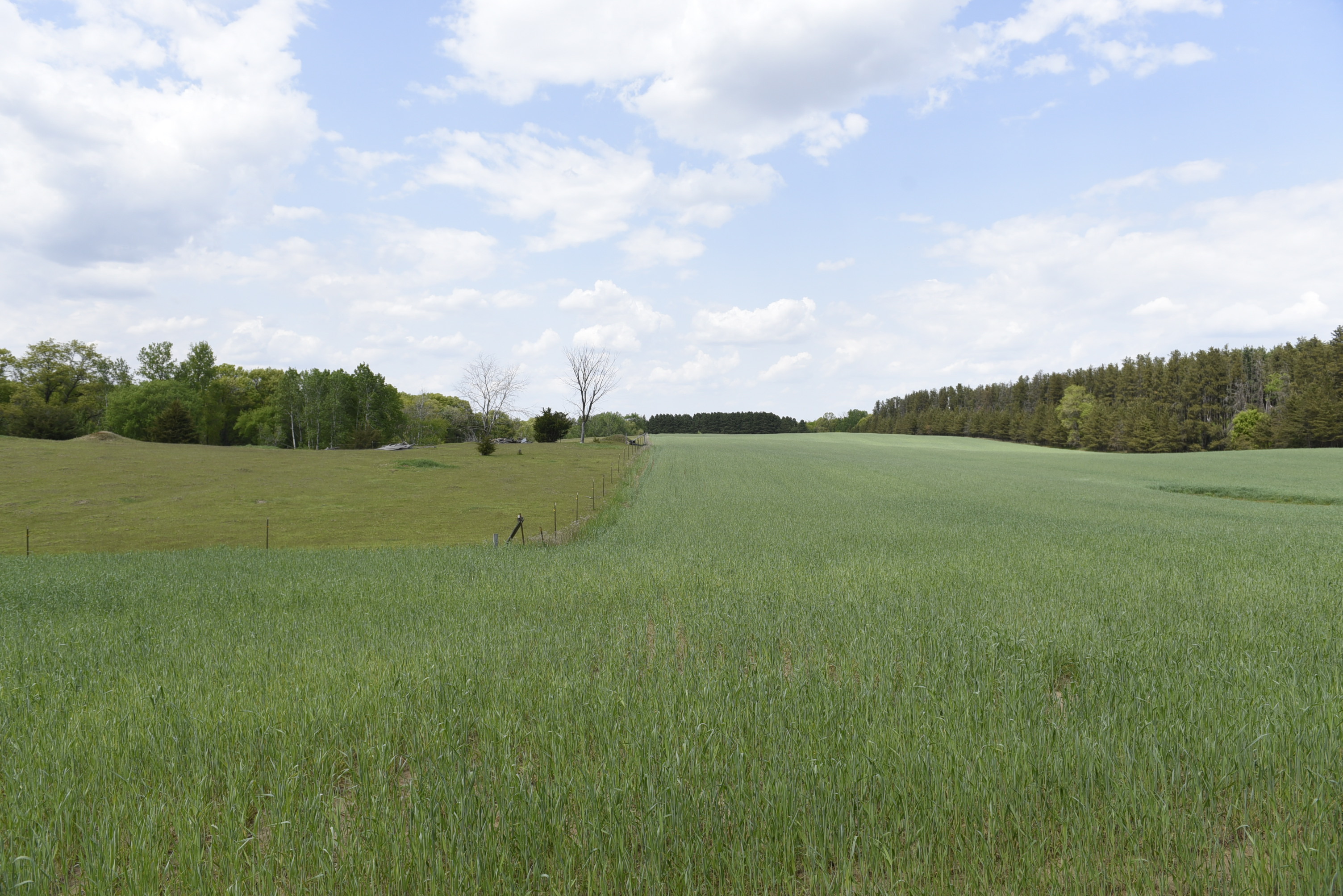 Re/Max Results 40 Acres of Land in Becker MN!