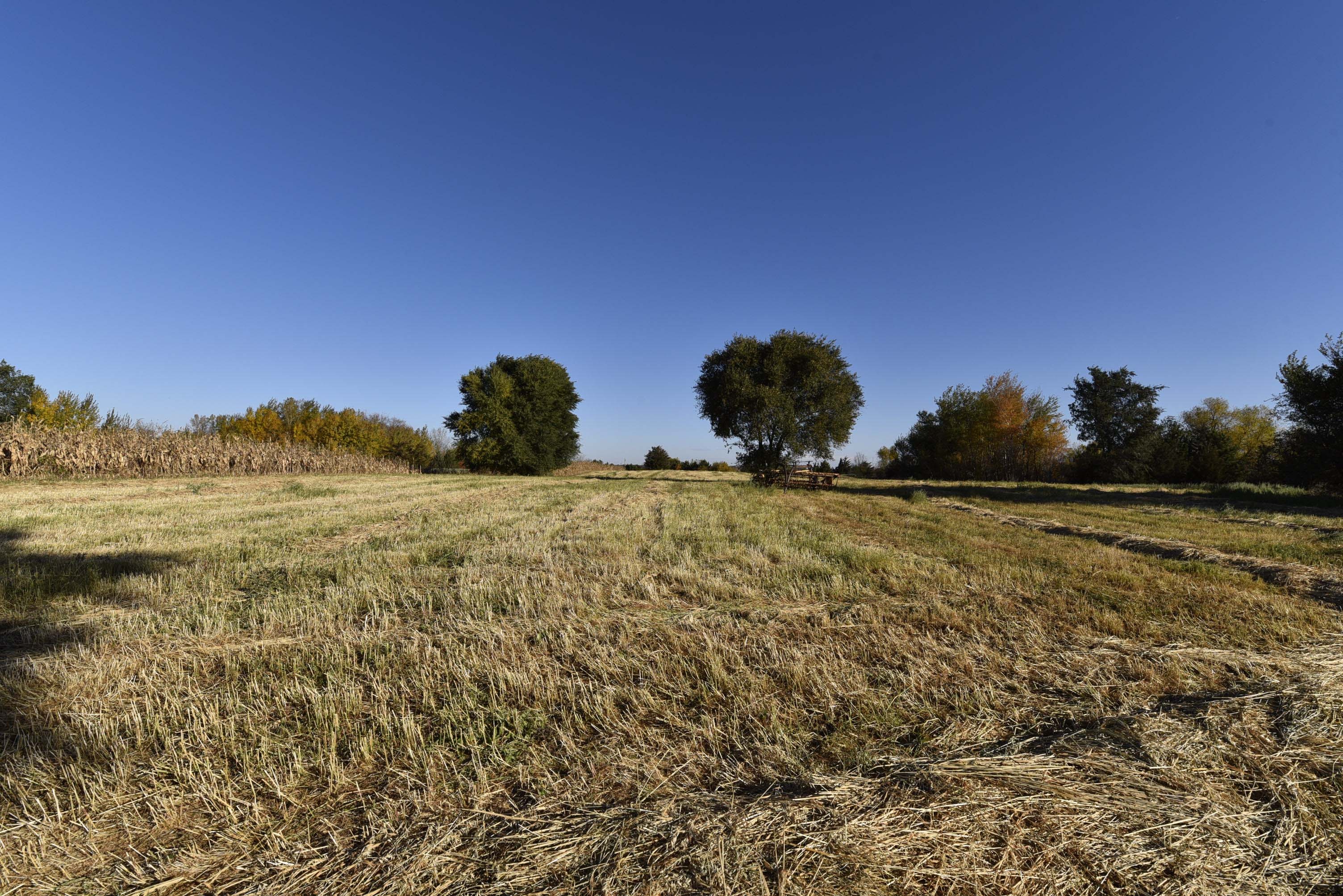 Re/Max ResultsClear Lake Hobby Farm with 20 Acres!