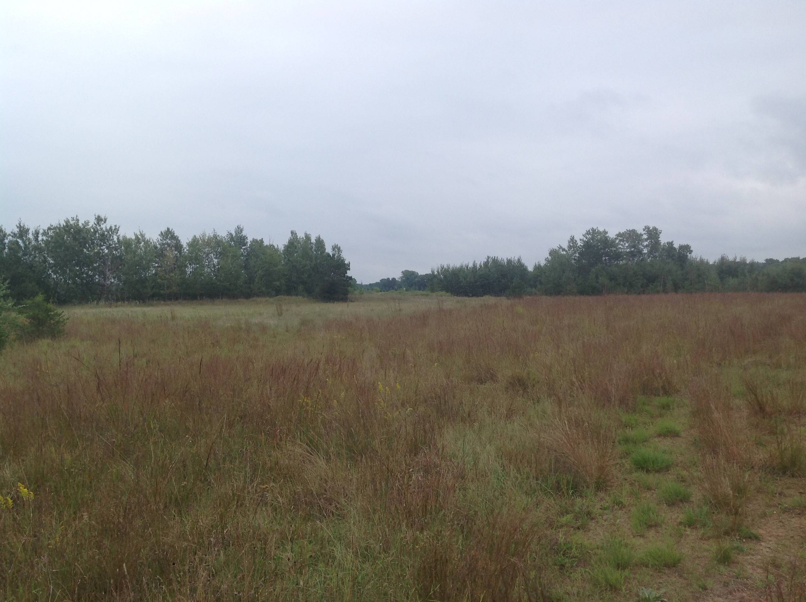 Re/Max Results Over Nine Acres land for sale Princeton