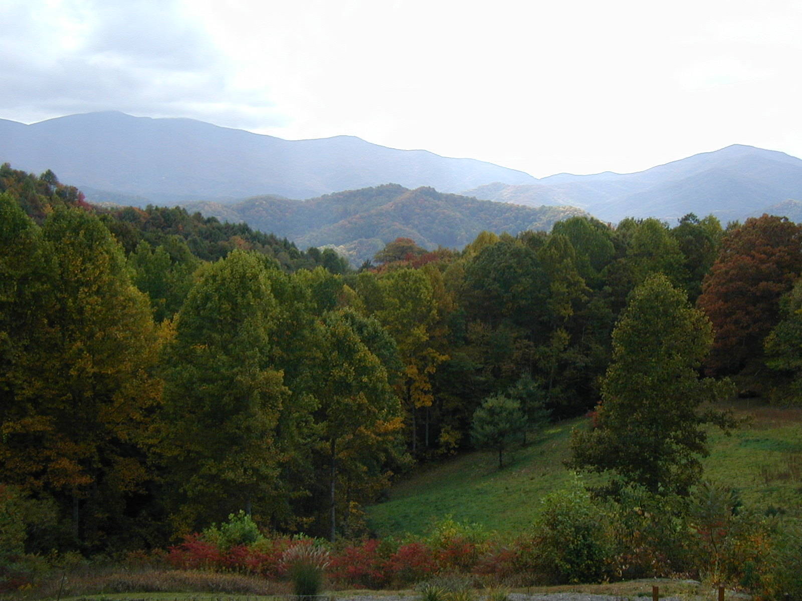 Northeast Tennessee Mountain delights