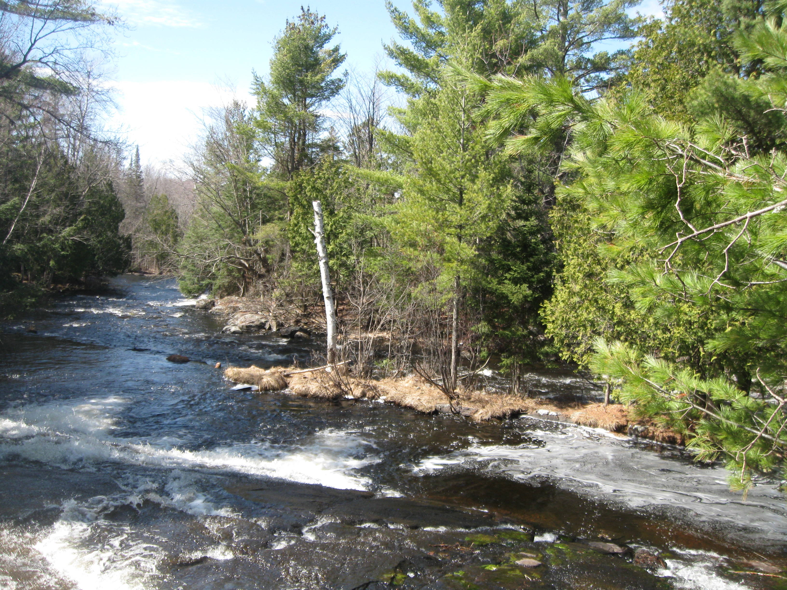 HUNTING TIMBER LAND WANTED SHEBOYGAN COUNTY FOREST LAND