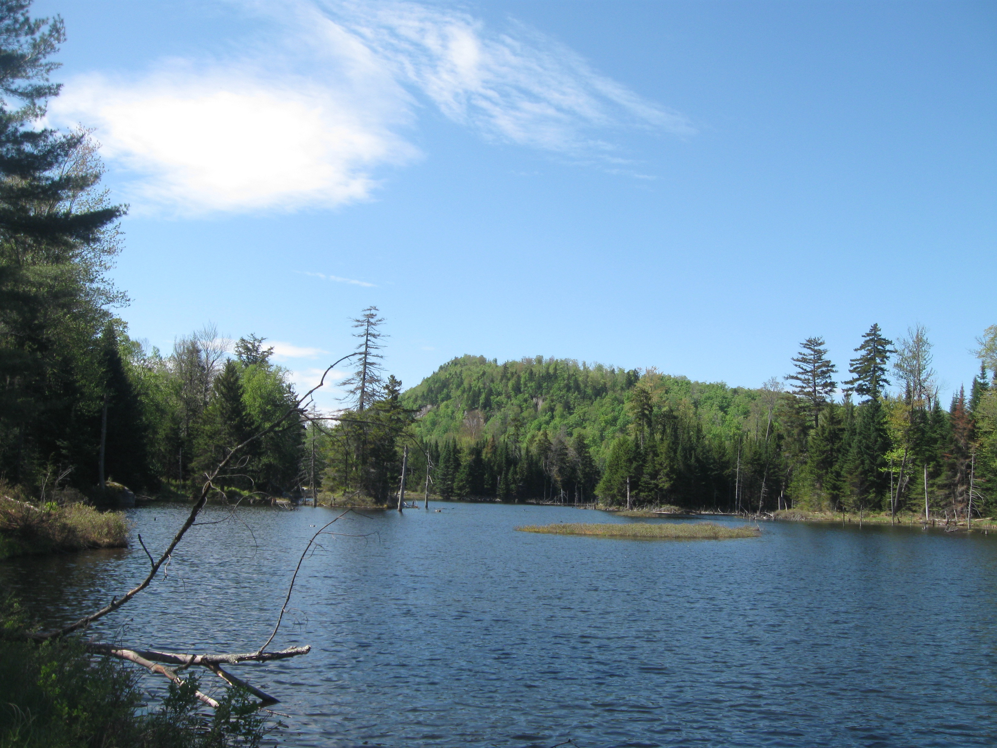 Adirondack Timber Cruising, Weller Pond, Hidden Gem