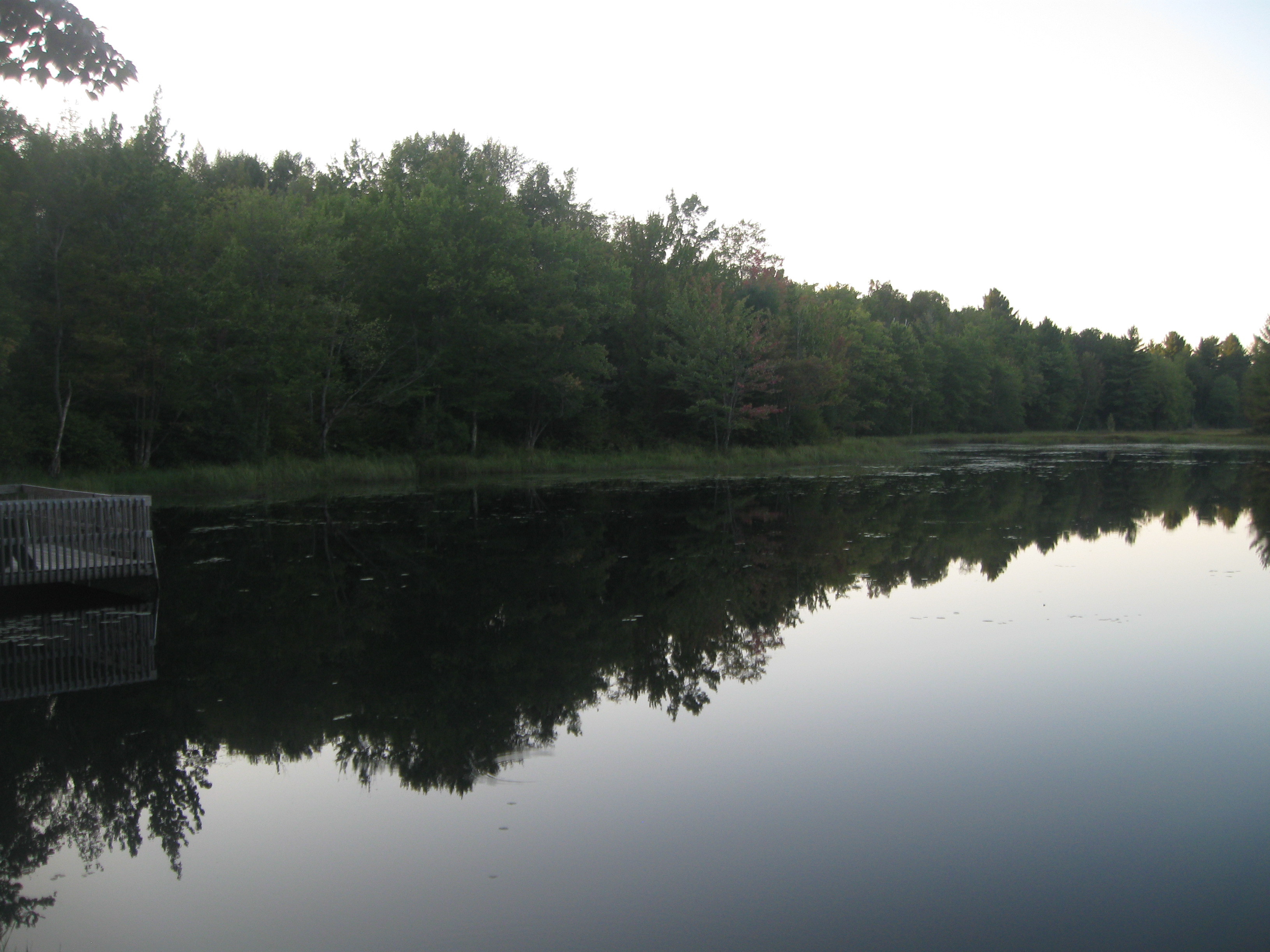 WANTED! WOOD COUNTY FOREST LAND