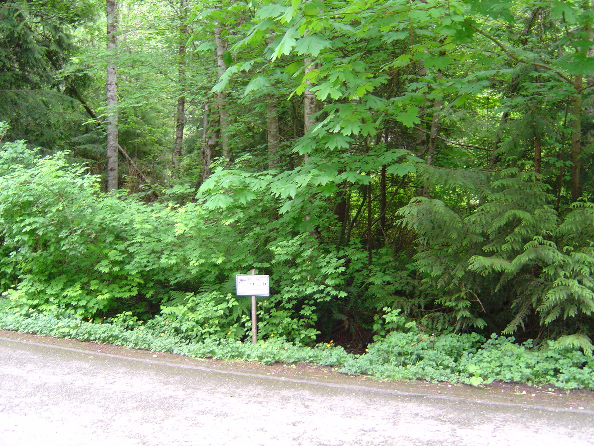 Sudden Valley Level Building Lot with Creek for sale