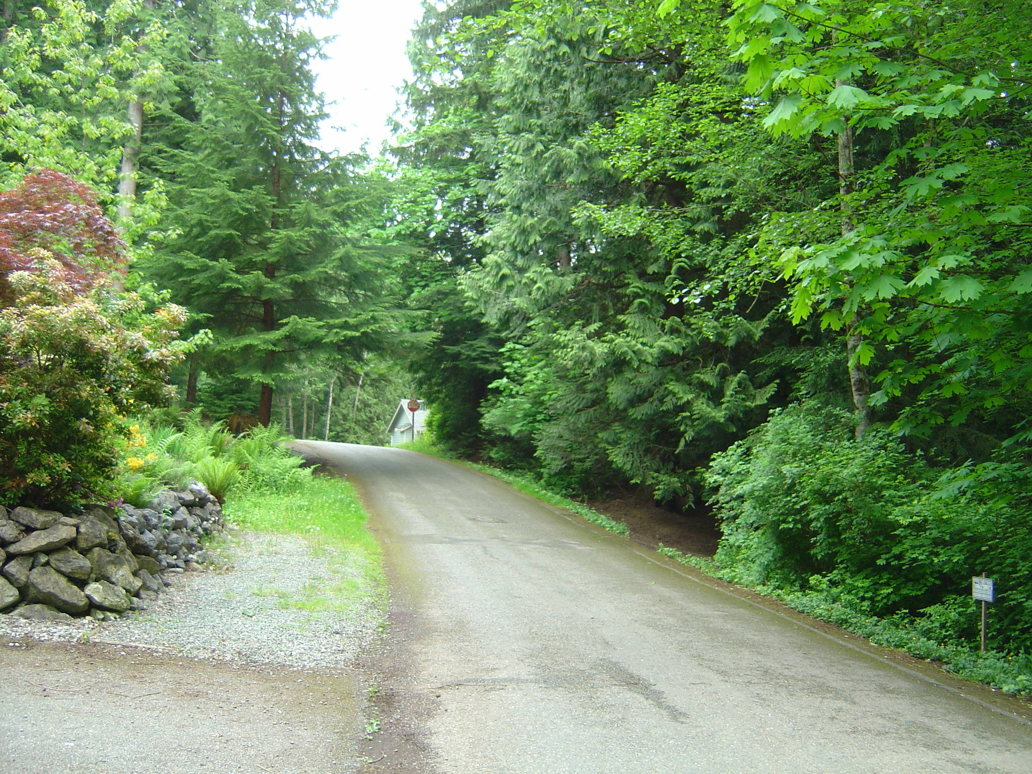 Sudden Valley Level Building Lot with Creek for sale