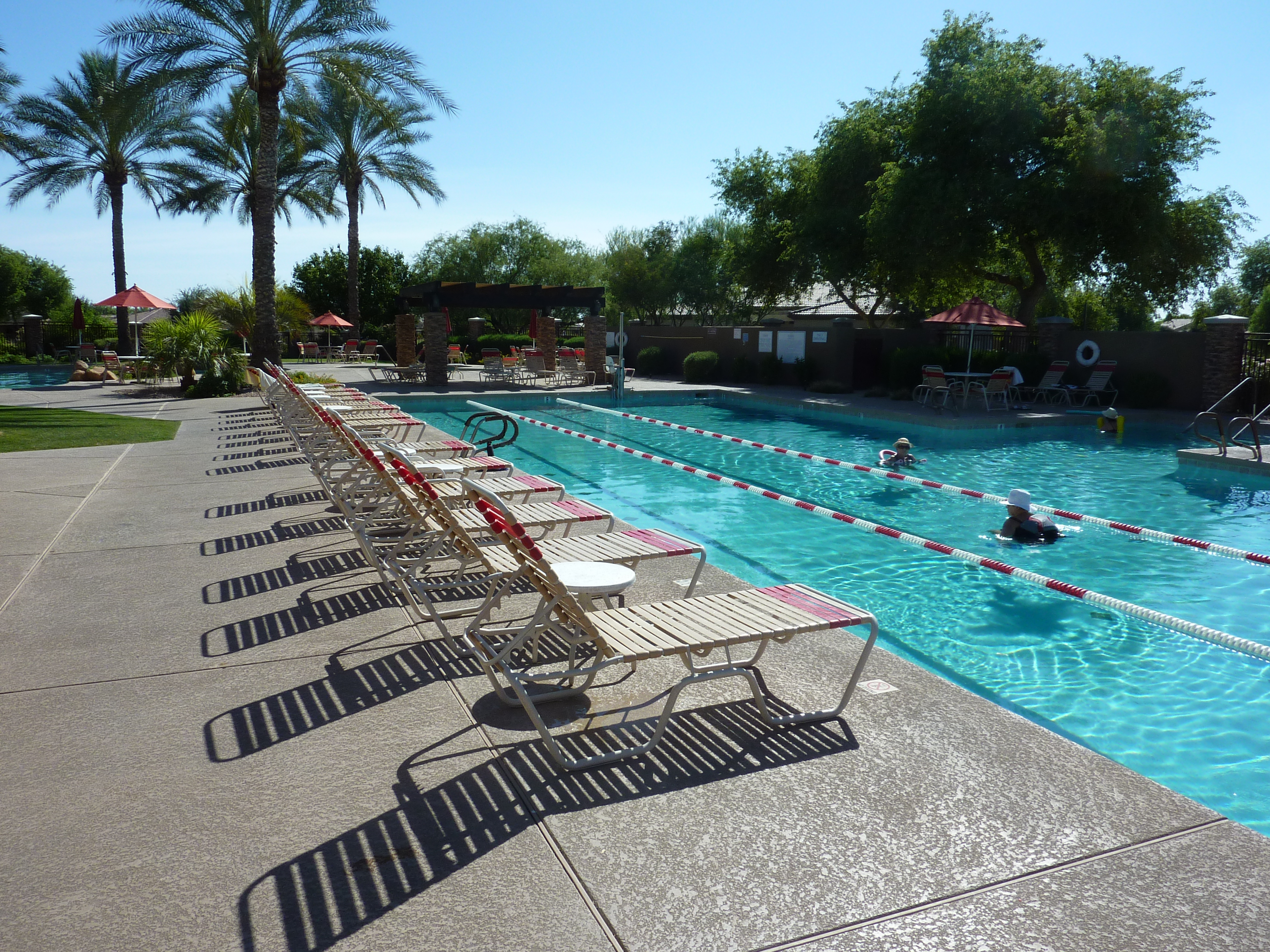 Homes for Sale in Trilogy at Power Ranch in Gilbert, AZ