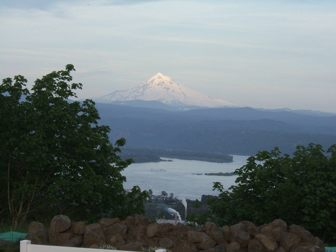 Homes for sale in the Stoneleaf neighborhood of Camas WA