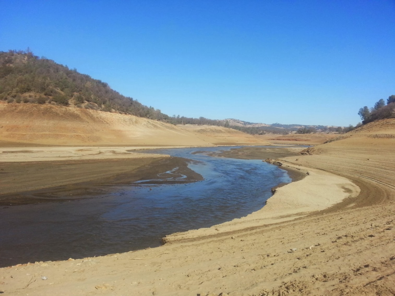 Folsom Lake Pictures January 25, 2014