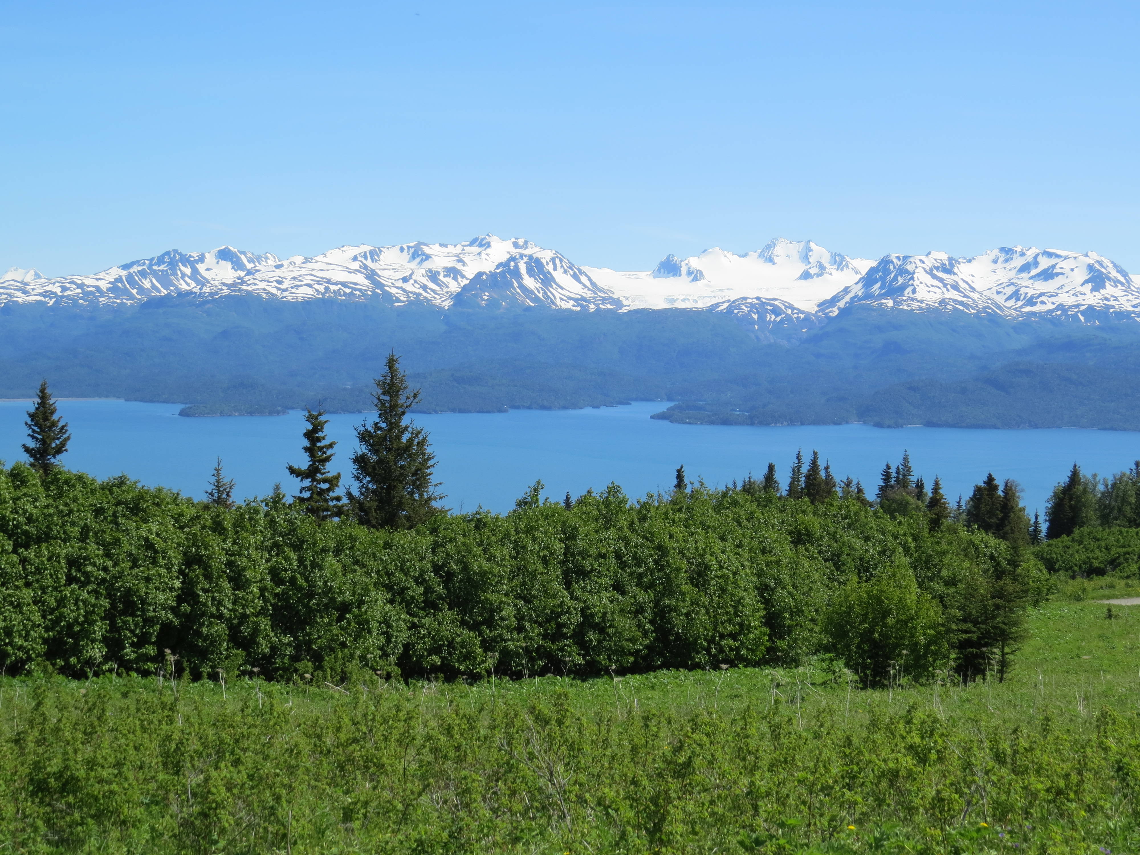 East End Road Past McNeal Canyon Stats,Homer Alaska 996