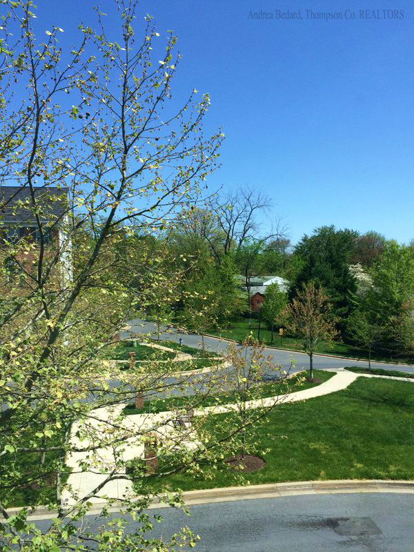 Pretty view from this pretty Wheaton condo!
