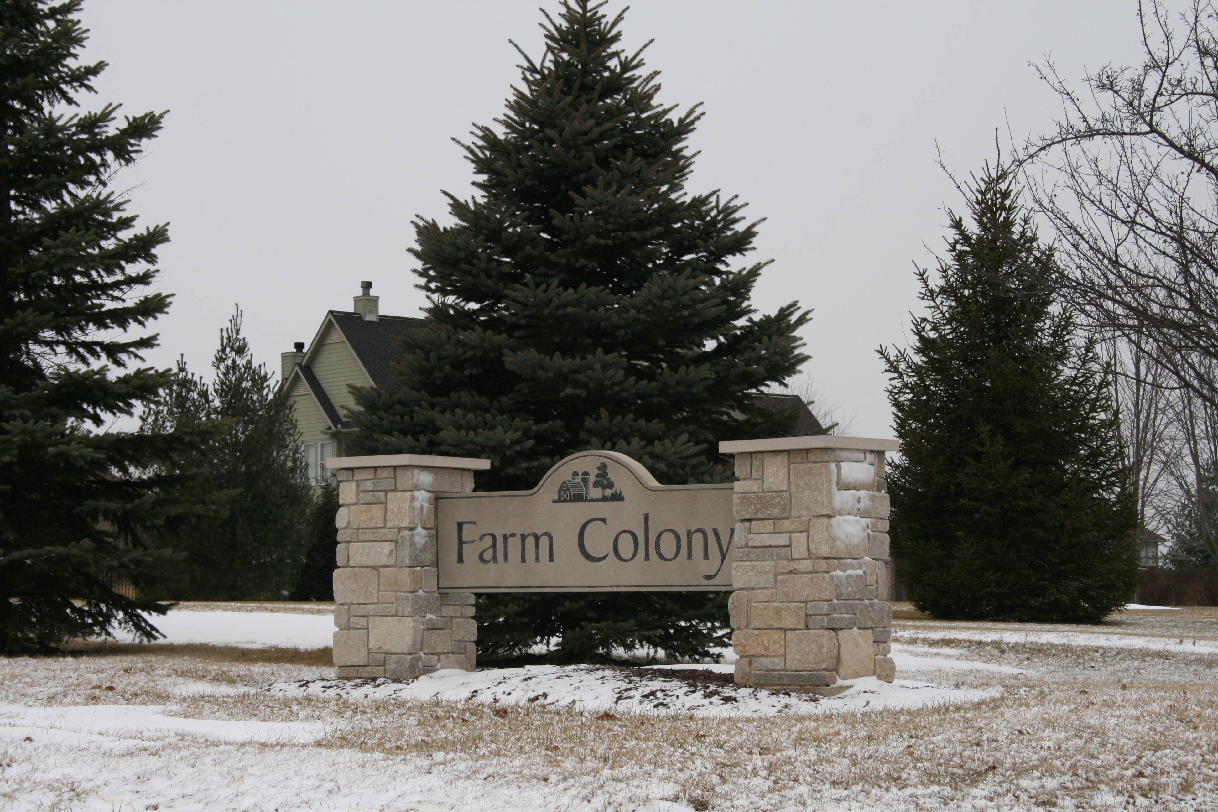 Farm Colony & Fields of Farm Colony Market Activity Y