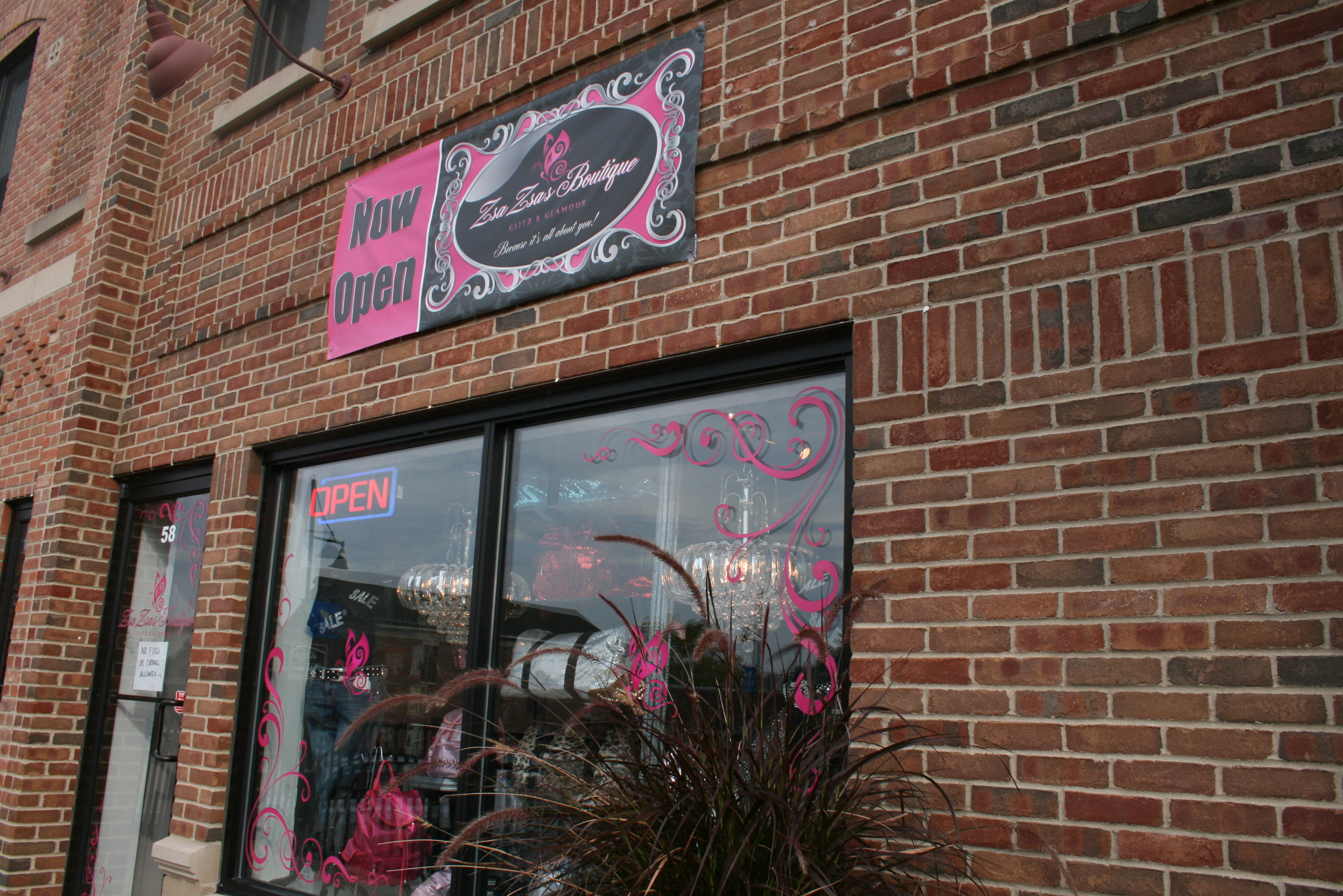 Bling Bling in Oswego IL Zsa Zsa's Boutique