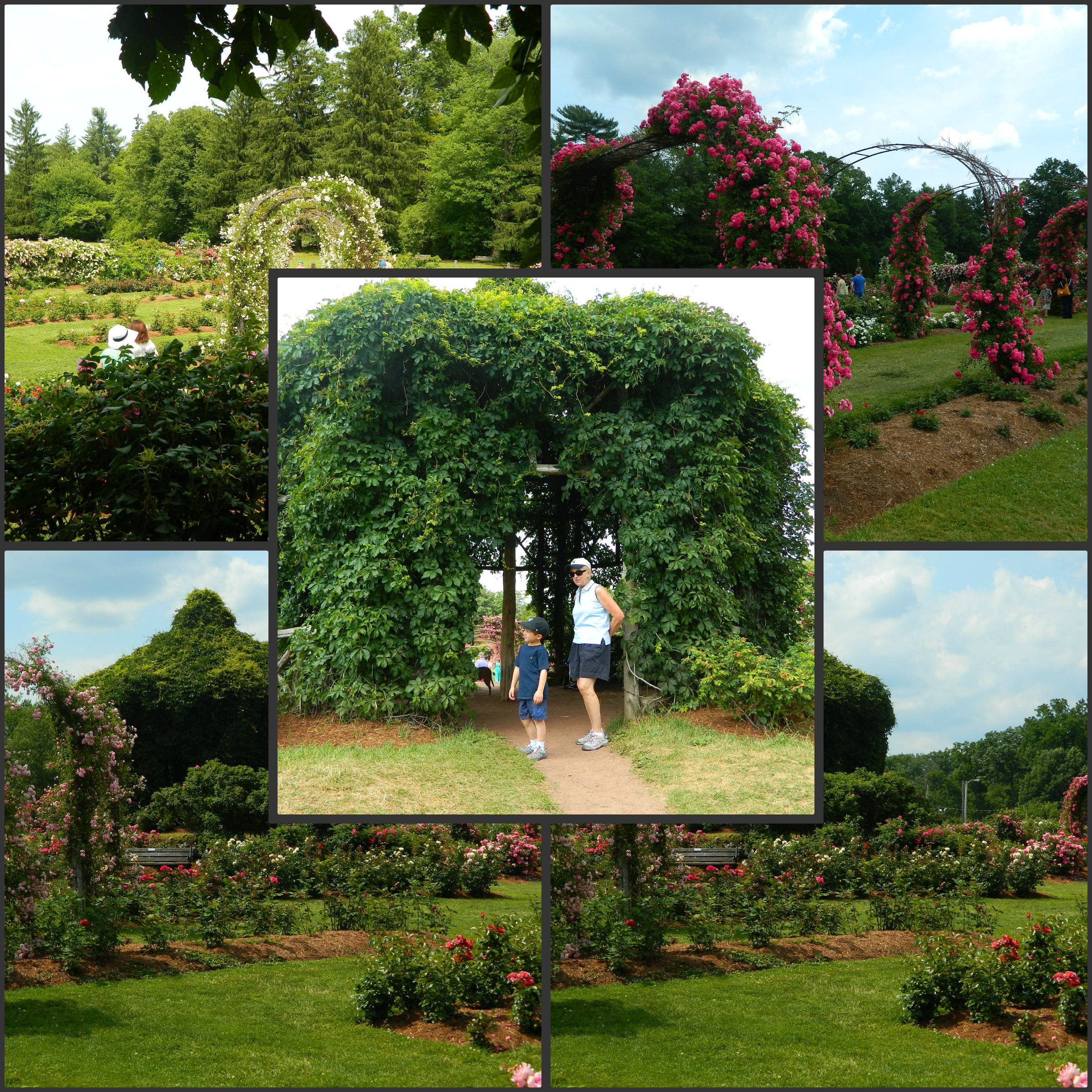 The Gardens at Elizabeth Park in Hartford CT