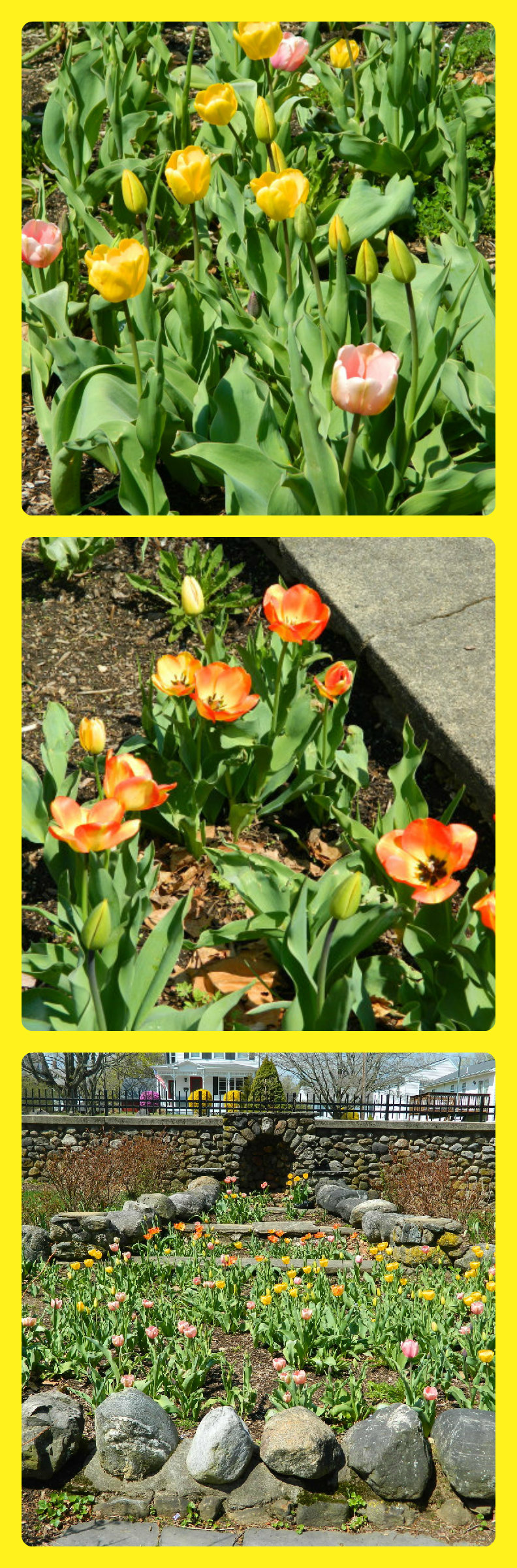 New 3 Bedroom Condo Listing in Woodbury CT