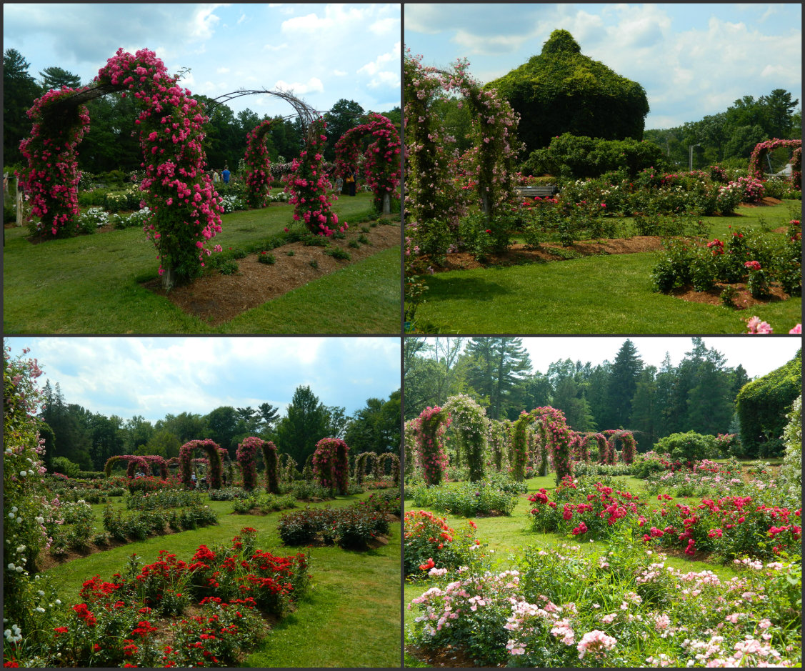 The Gardens at Elizabeth Park in Hartford CT